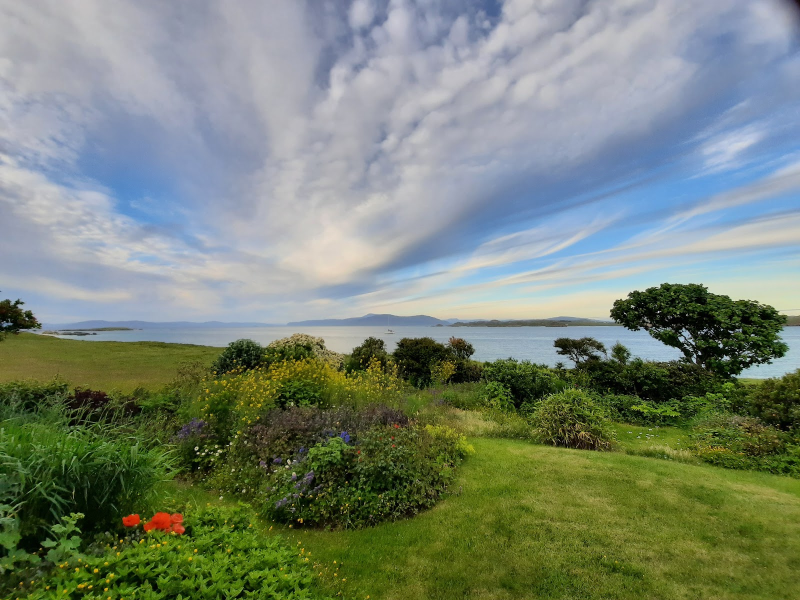 Coastal garden with flower beds overlooking a sailing boat on the water