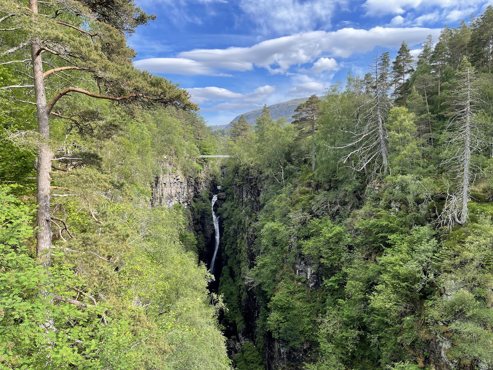 The narrow white fall of the Falls of Measach far down in the deep wooded Corrieshalloch Gorge under a blue sky.