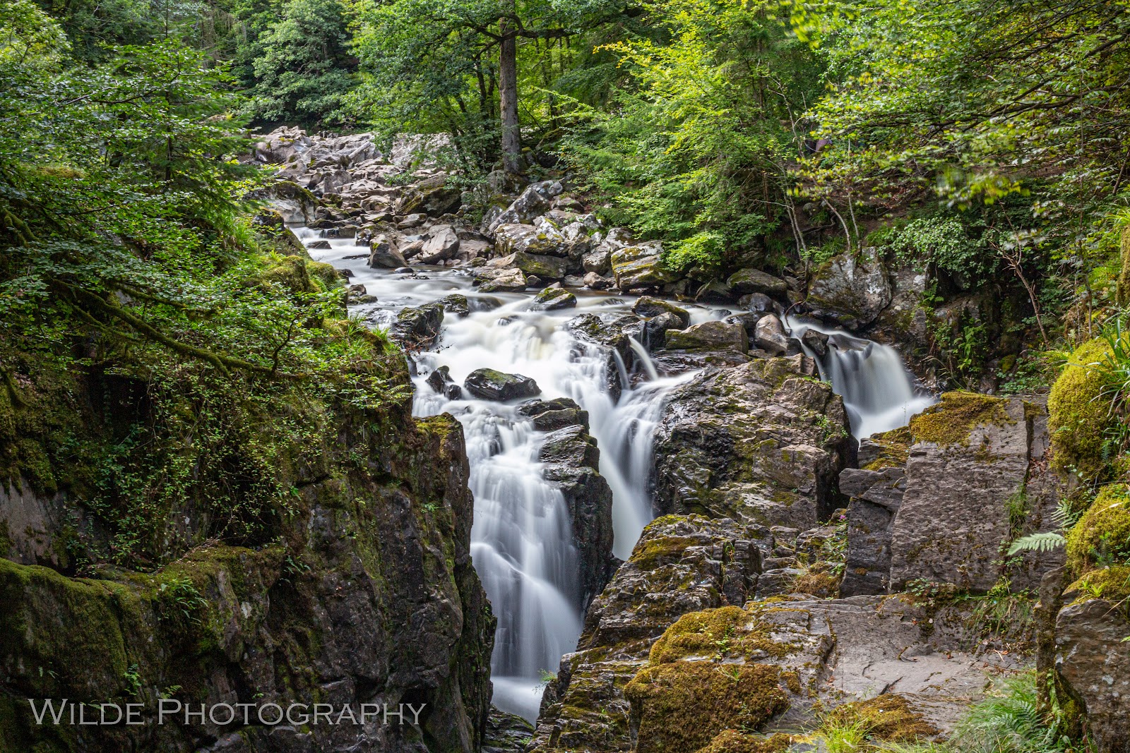 Waterfall cascades over dark rocks through a wooded gorge