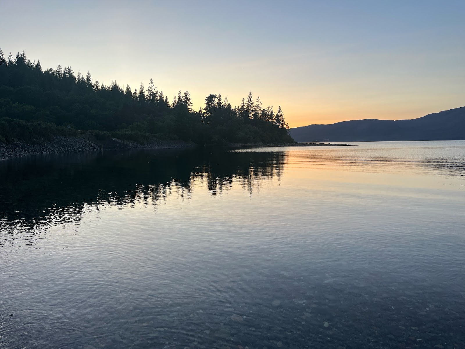 Loch Carron at sunset below dark pines by Craig Highland Farm.
