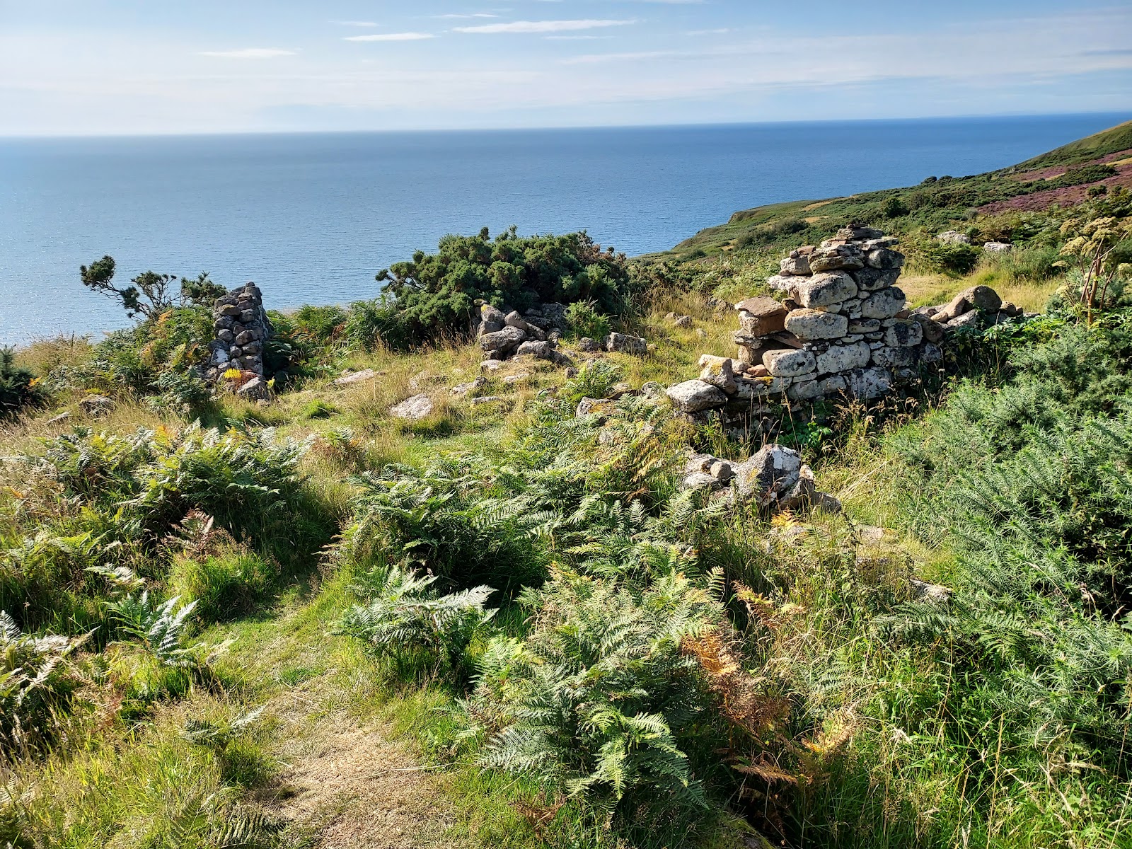 The tumbled stone walls of Badbea among bracken on the clifftop, the sea far below.