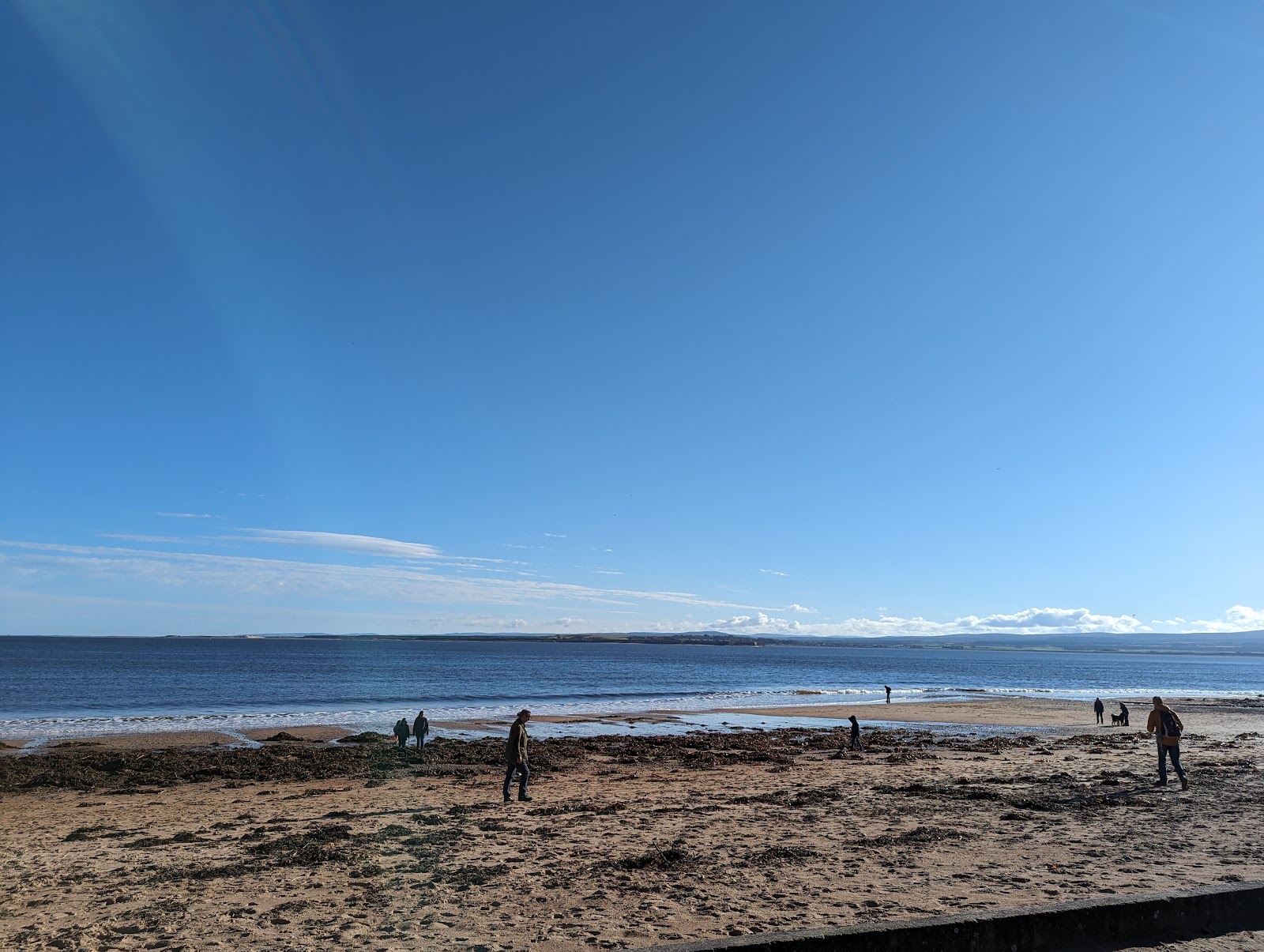 Walkers and a dog stroll along a wide sandy beach under clear skies