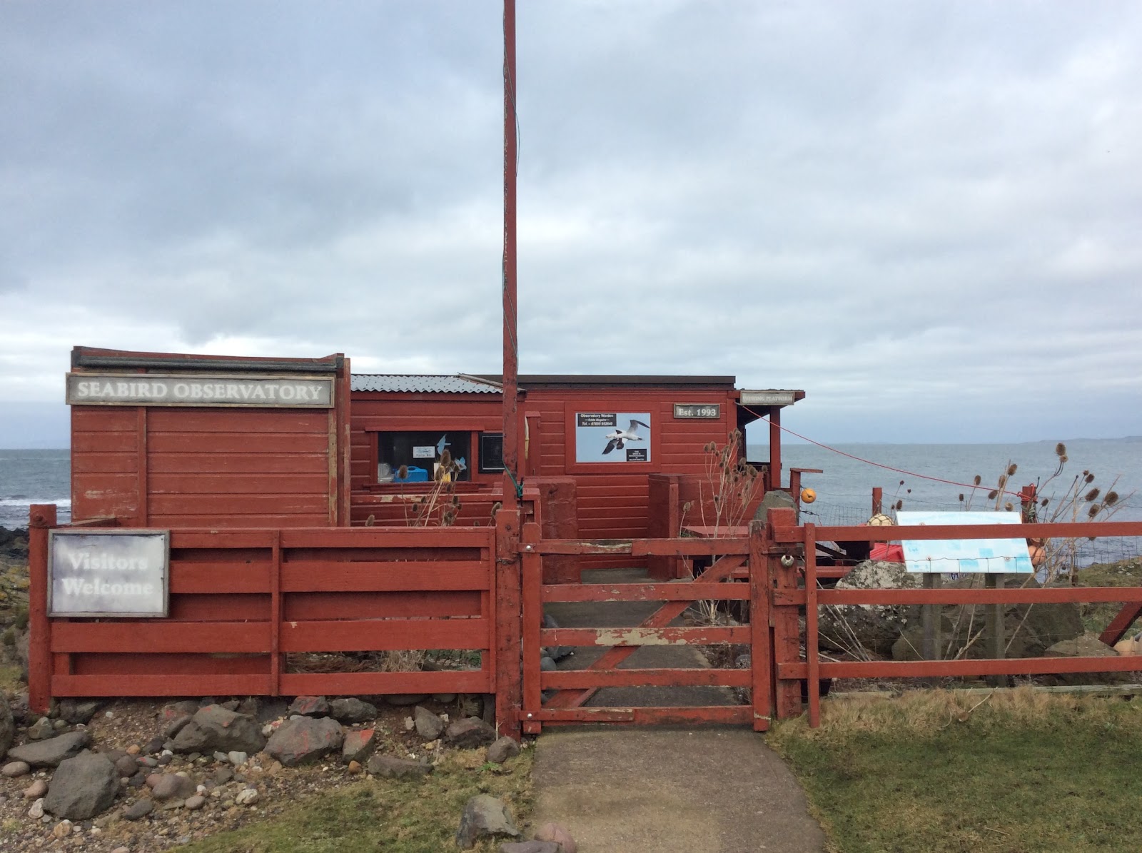 The observatory's hide above the shore.