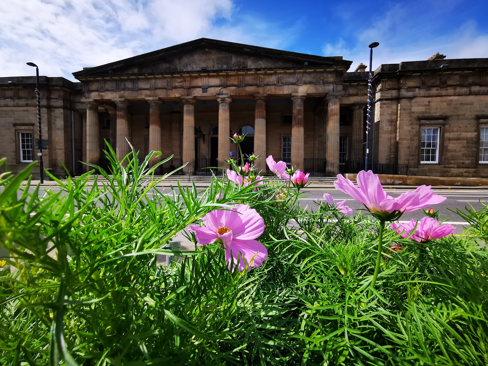 The columned front of Perth Museum behind pink cosmos flowers.