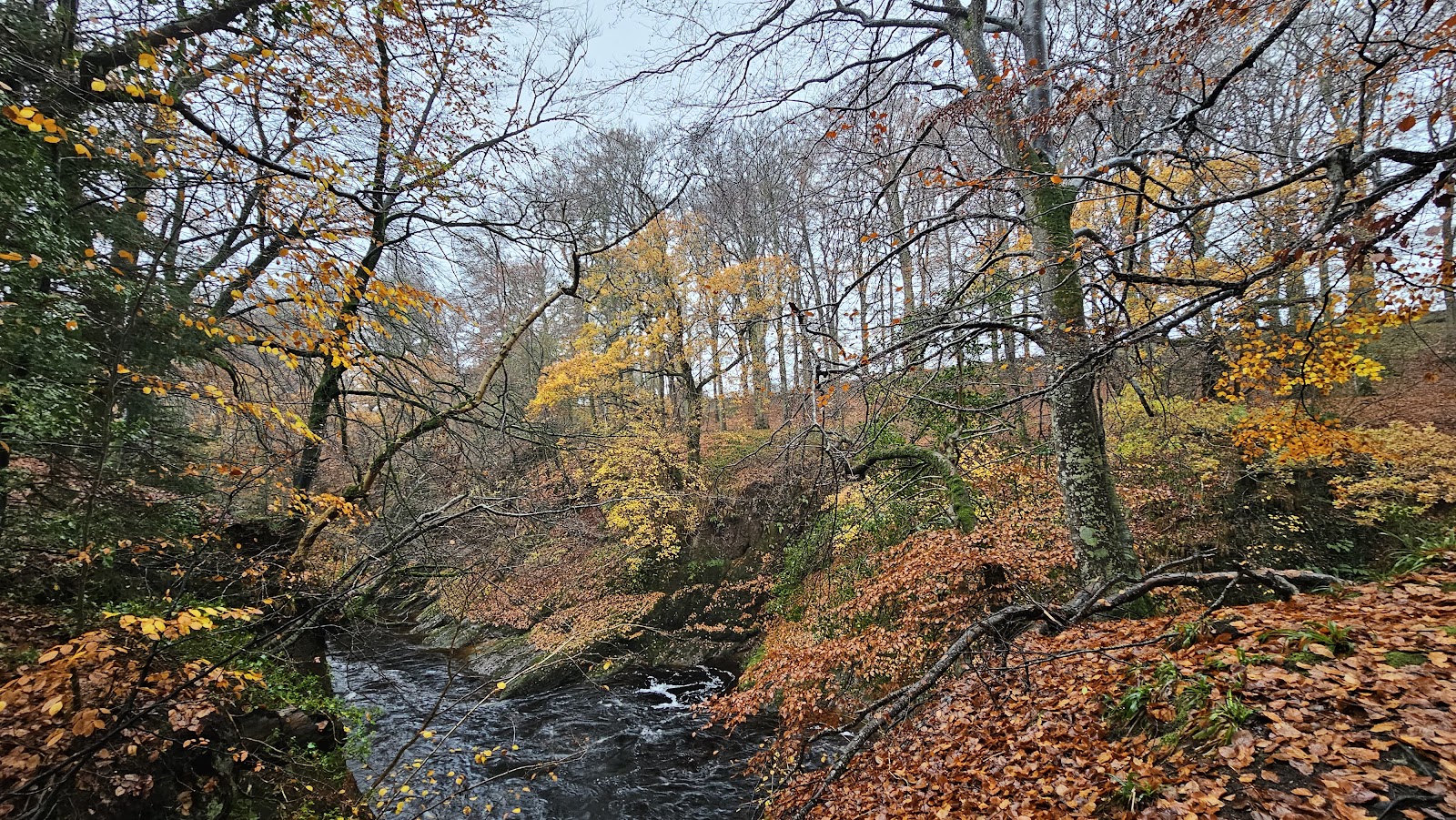 The North Esk tumbling through its wooded gorge among autumn leaves.