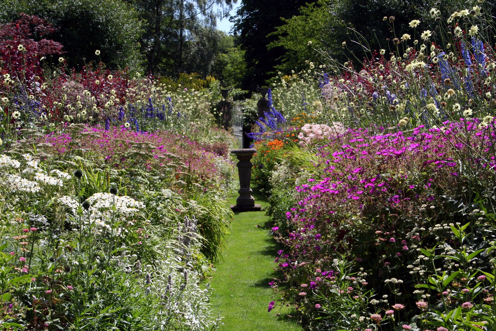 Deep summer borders of flowers in the walled garden at Pitmuies.