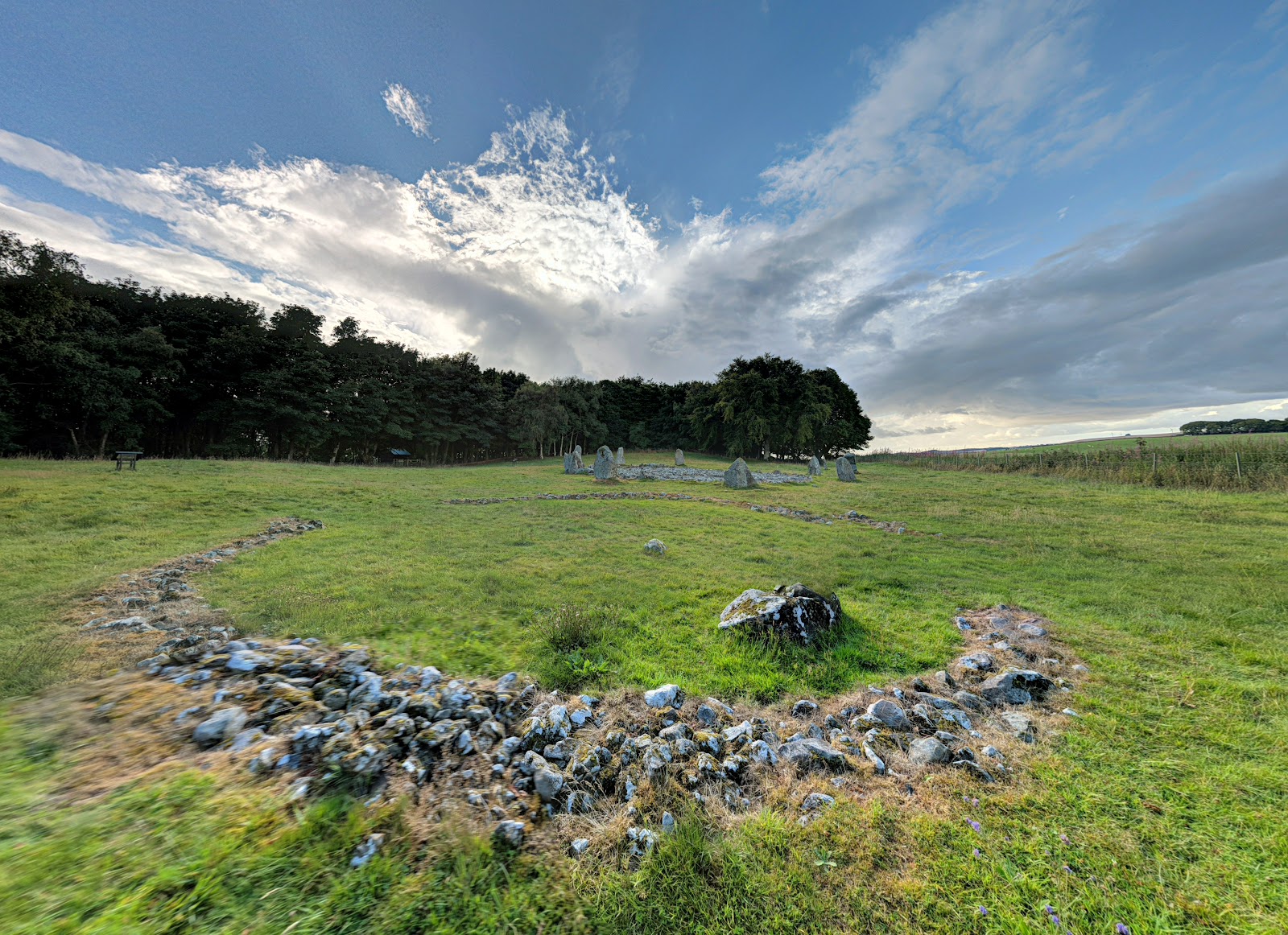 Stone circle and cairn ring in a grassy field edged by trees