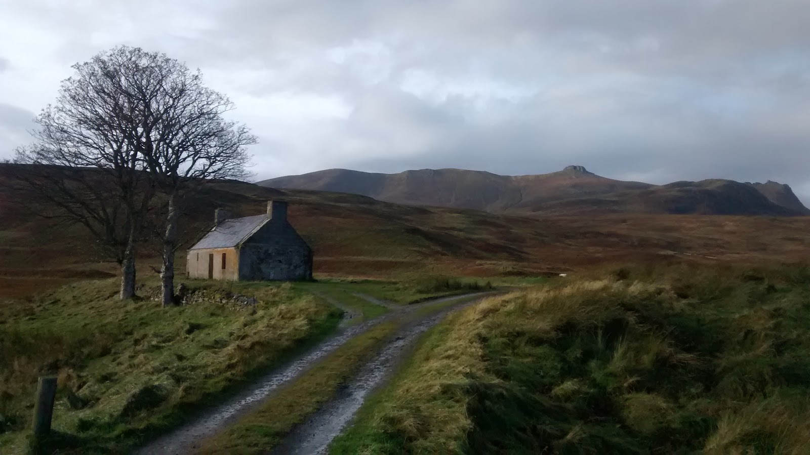 An old cottage and bare tree on the moor, the peaks of Ben Loyal behind.