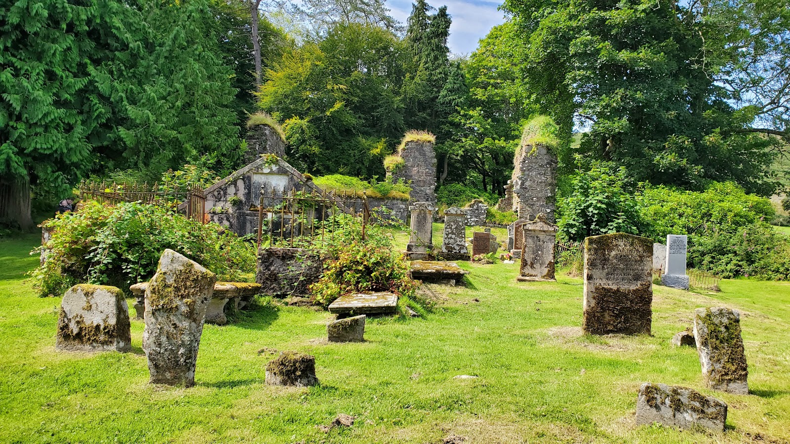 Weathered gravestones and ruined church walls among overgrown foliage in a Scottish graveyard