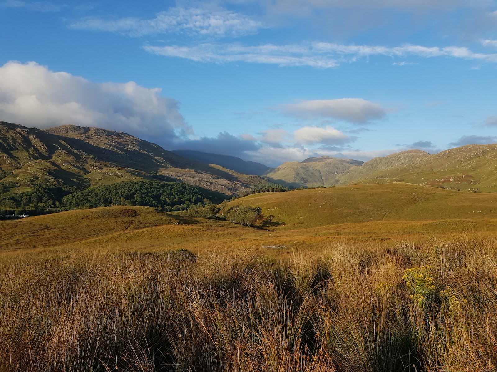Rolling grassland and wooded slopes lead towards distant Highland peaks under a partly cloudy sky
