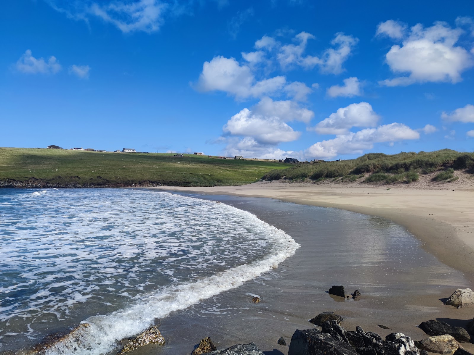 Waves curl onto a sandy beach beside dunes and grazing fields