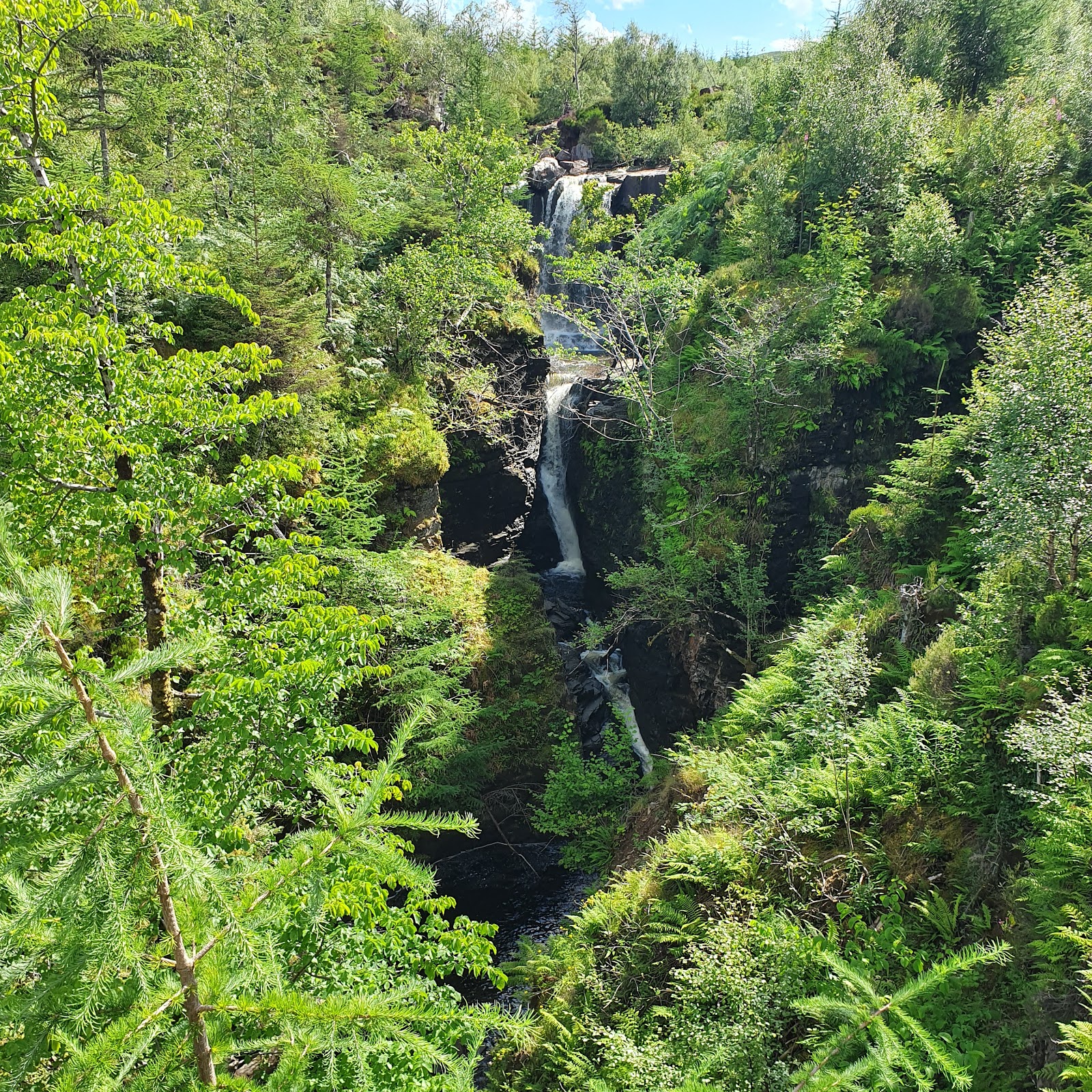 Victoria Falls dropping in a white thread through a steep gorge thick with green trees.