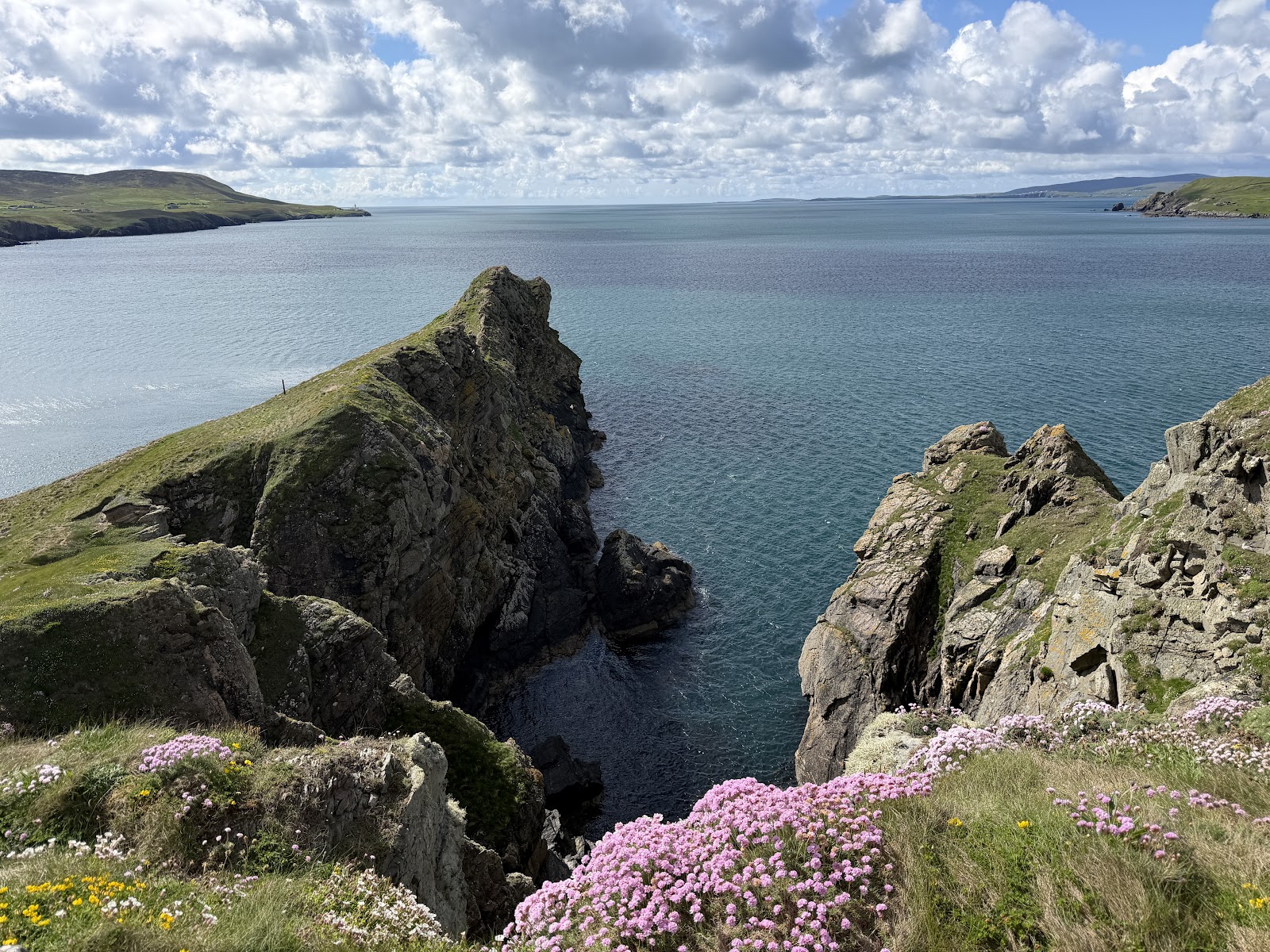The cliffs of the Knab above the sea, thrift in flower, Bressay across the Sound.