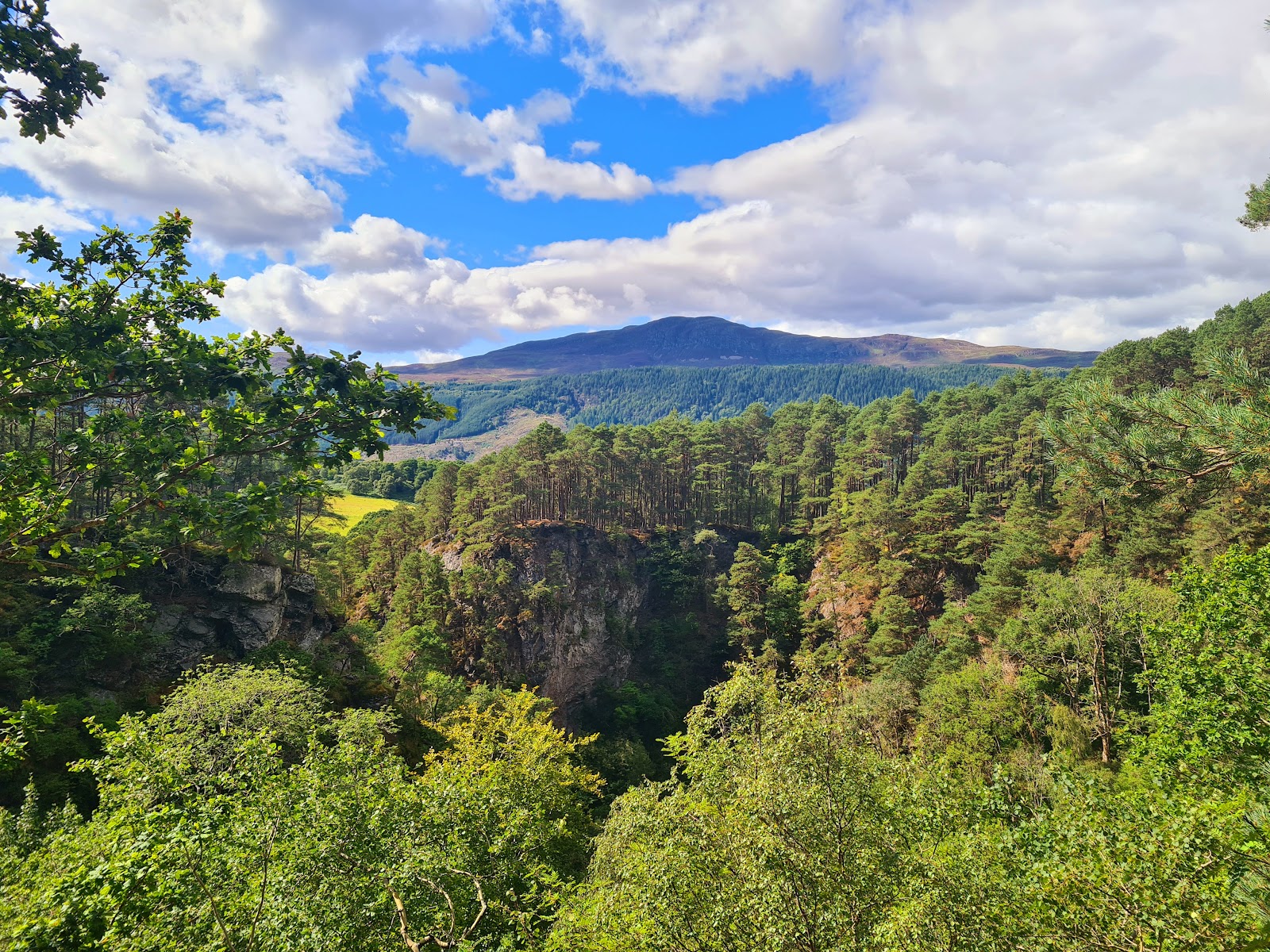 Wooded gorge with rocky cliffs, forested hills and a mountain beyond