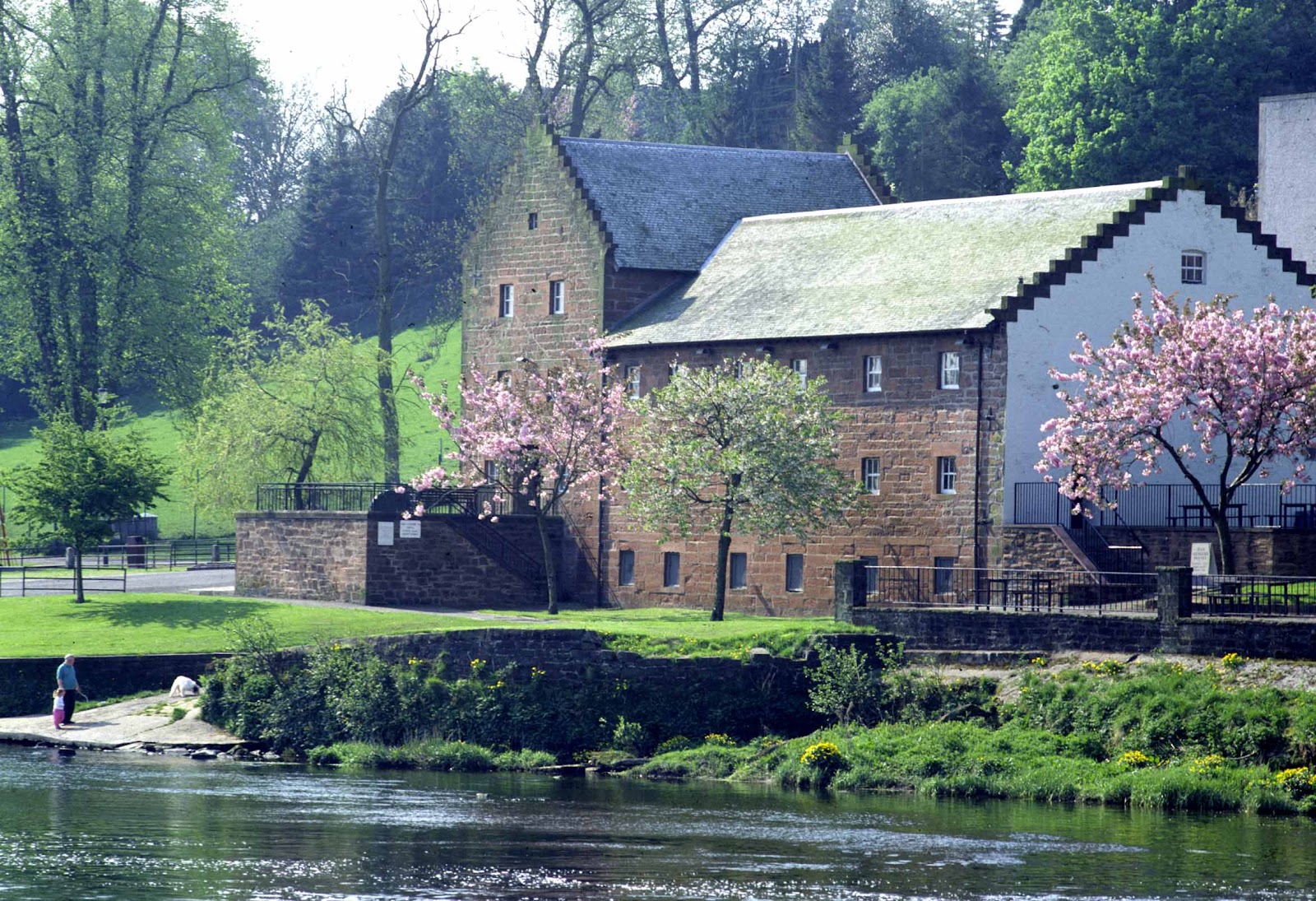 Sandstone riverside building with crow-stepped gables, cherry blossom framing the riverbank path