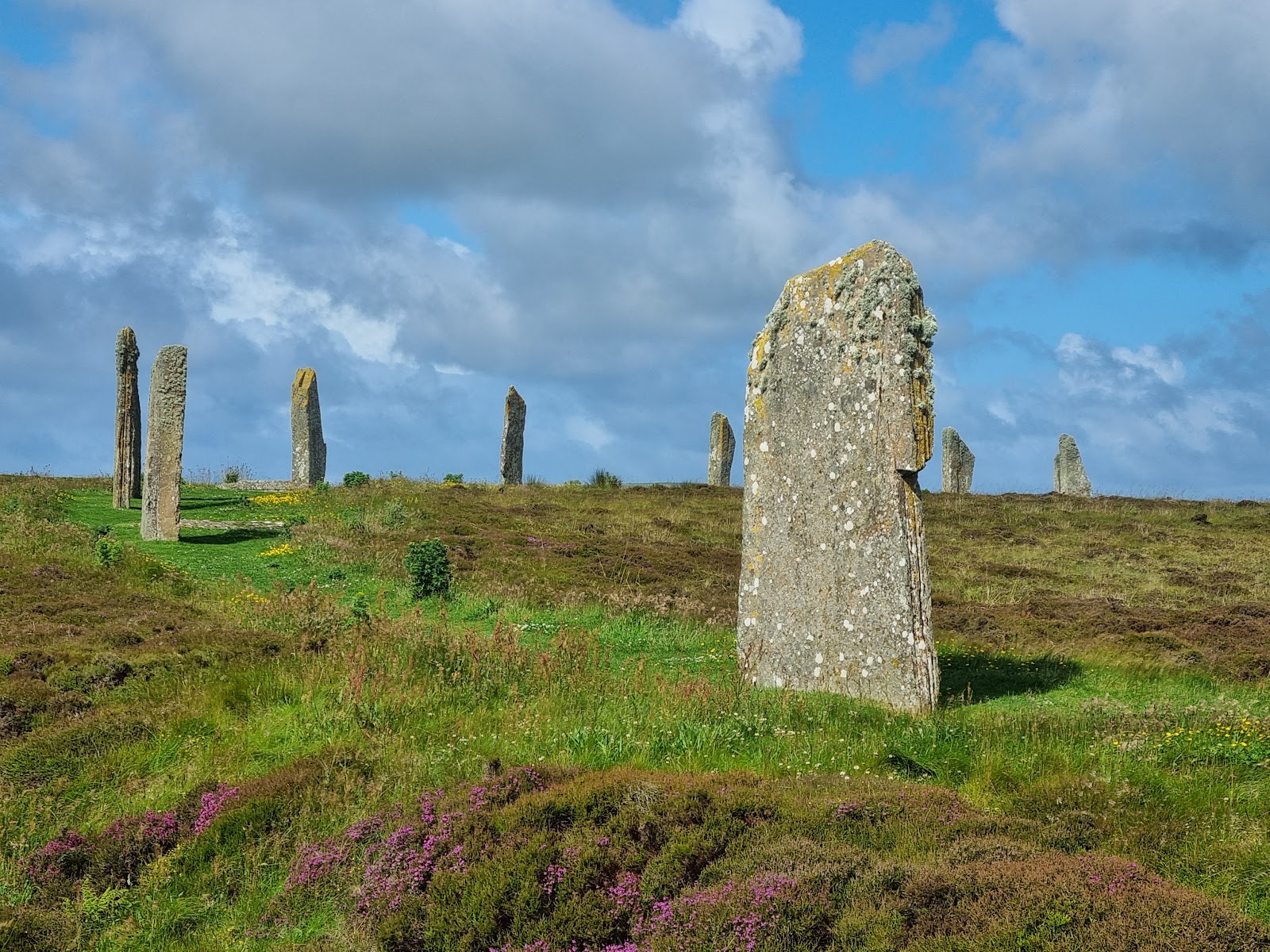 A tall lichened stone of the Ring of Brodgar in the foreground, the circle behind in heather.