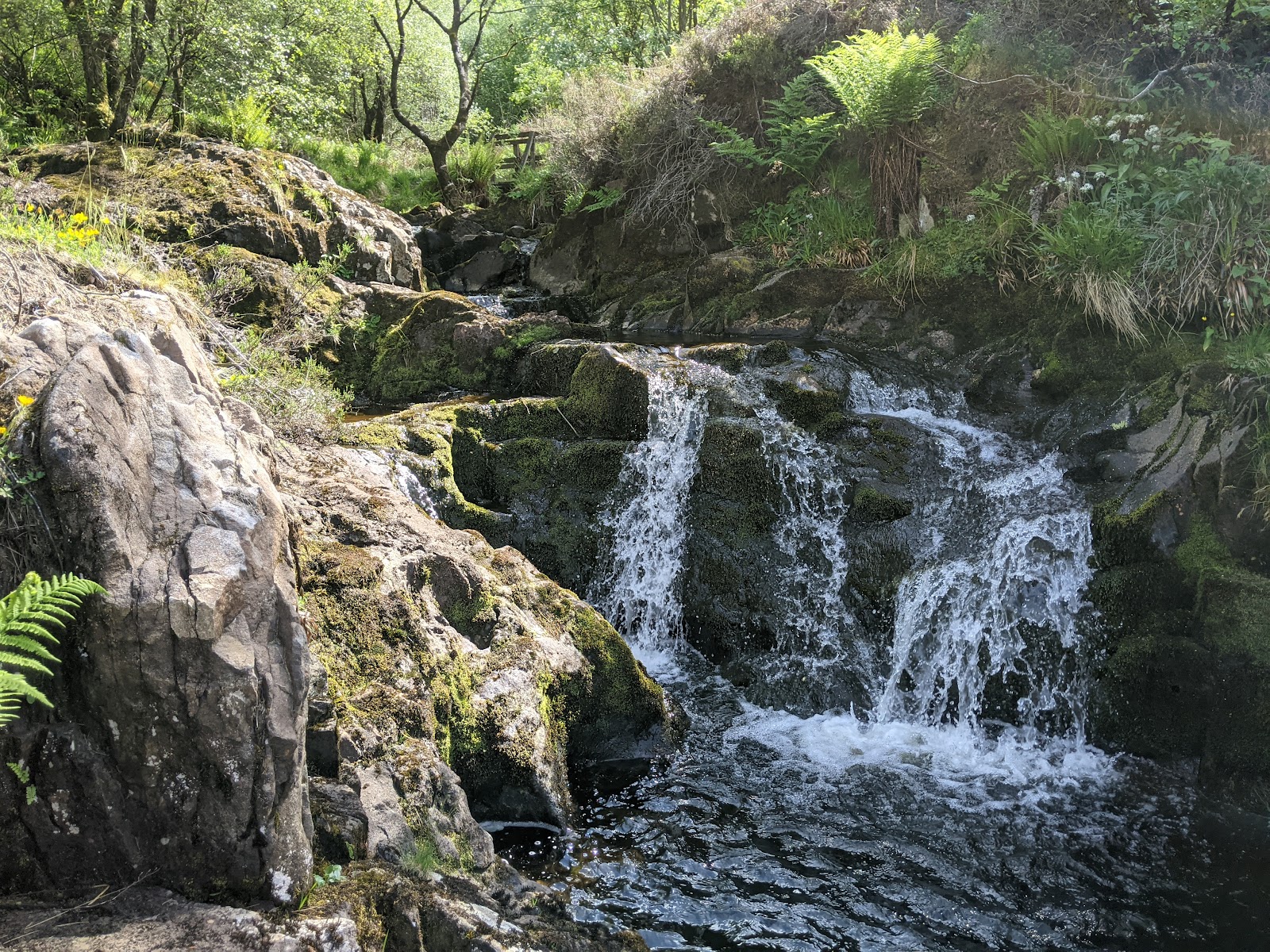 Small waterfall tumbles over moss-covered rocks into a woodland pool