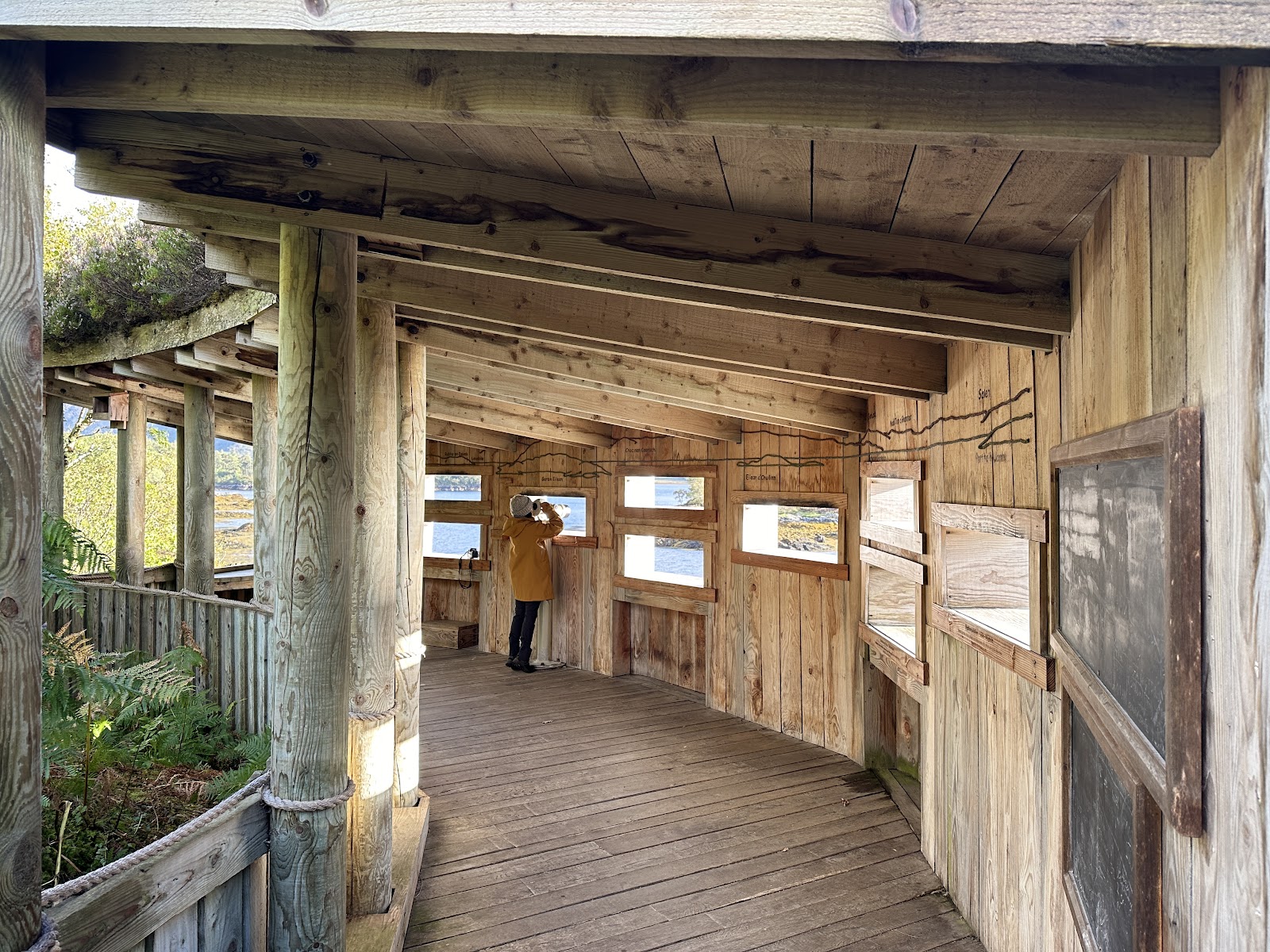 Visitor looks through binoculars inside a timber-framed wildlife hide overlooking the loch