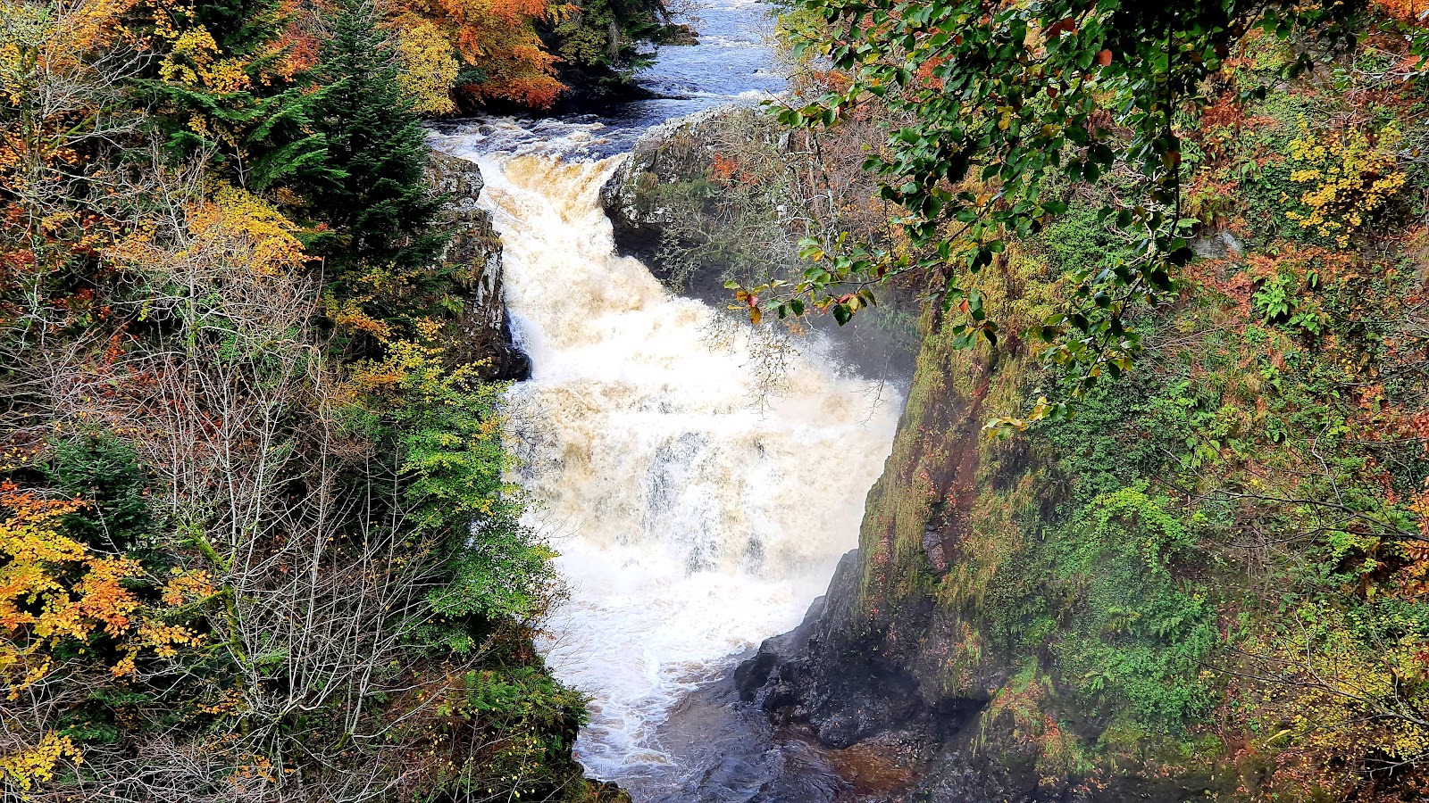 The Reekie Linn pouring white into its gorge among autumn trees.