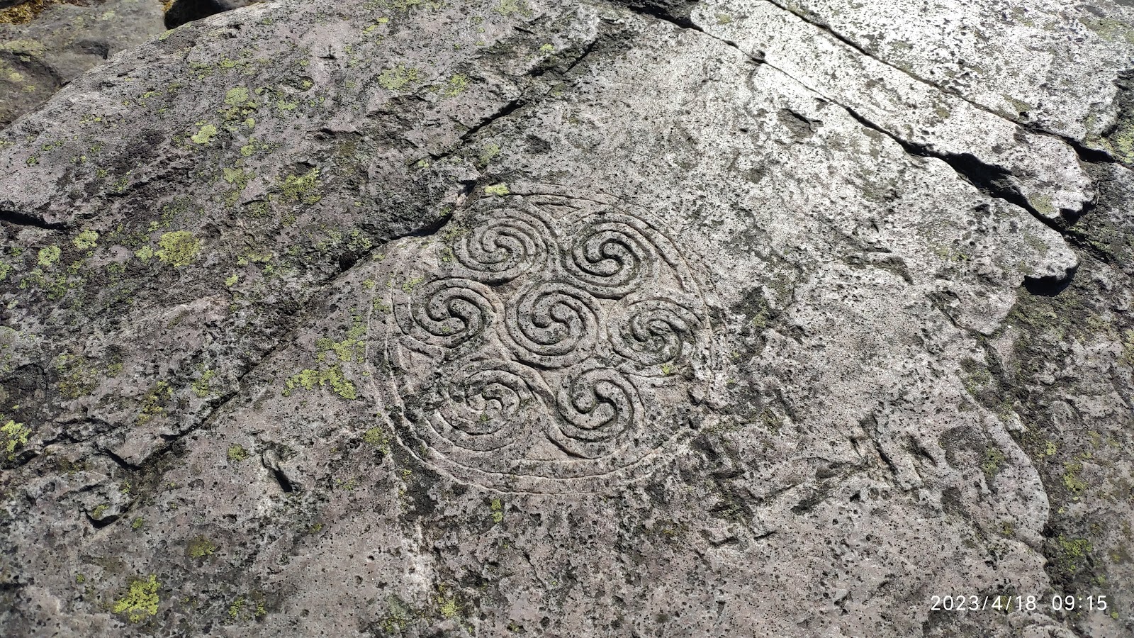 Spiral carving with five interlinked scrolls etched into lichen-covered rock