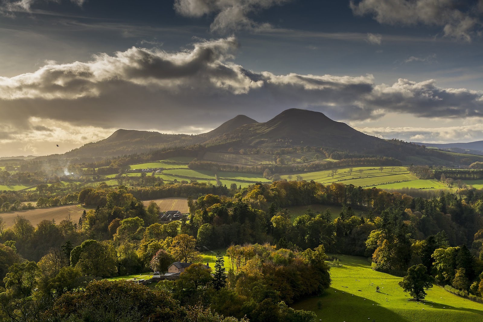 The three rounded summits of the Eildon Hills rising above green fields and woods in low evening light under a dramatic sky.