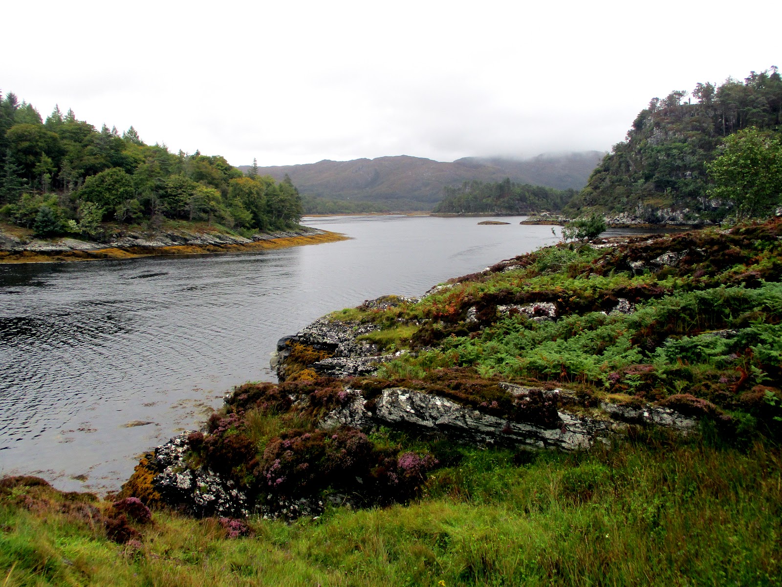 Loch Moidart, calm water winding between wooded rocky shores towards hills under low cloud.