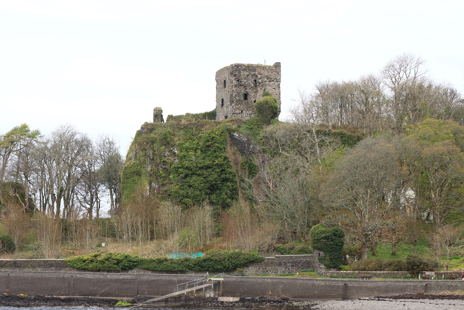 Dunollie Castle's ruined tower on its crag.