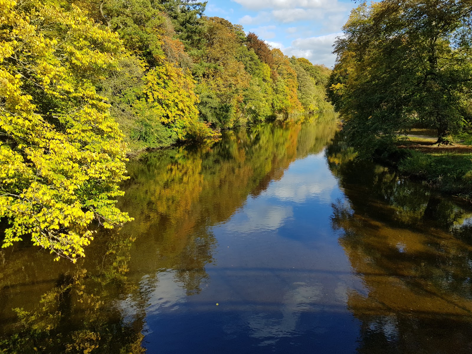 The River Teviot running through Wilton Lodge Park in Hawick, still and blue between banks of trees turning yellow and gold in autumn.