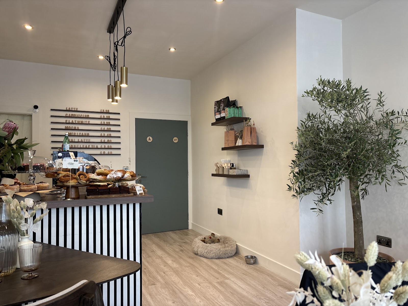 Inside Cafe Moyo on Thistle Street: a counter of pastries and buns, an olive tree, and a dog bed and water bowl by the wall.