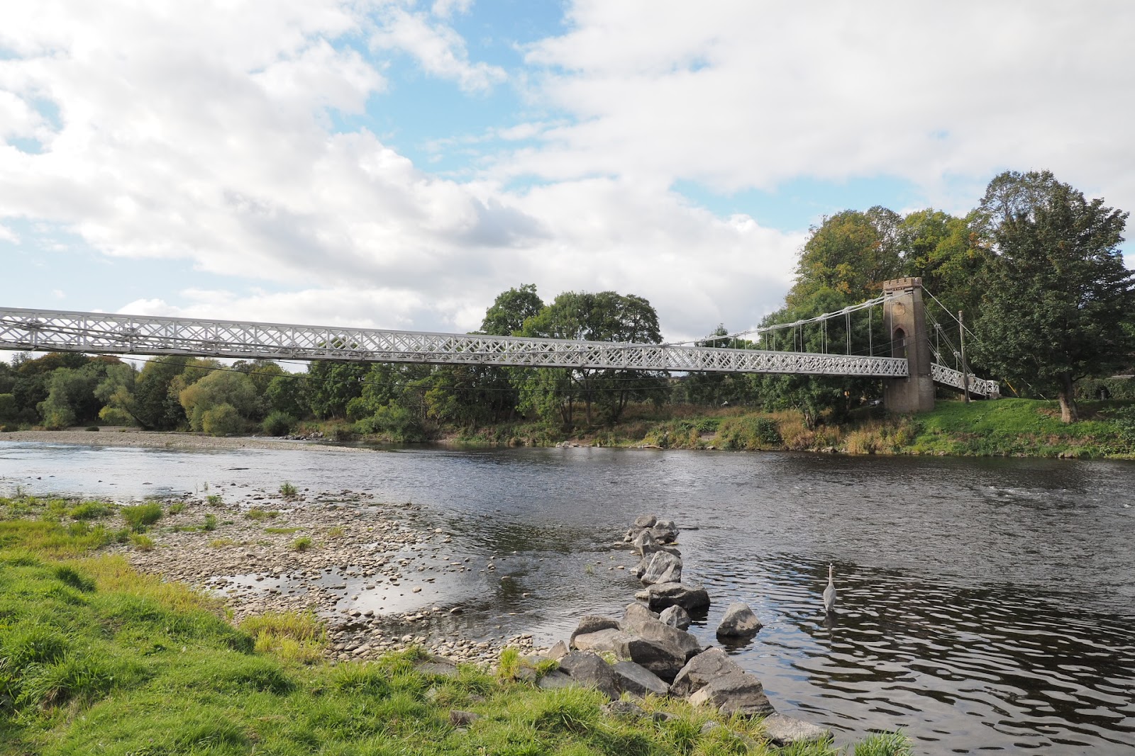 The white lattice deck of the Chain Bridge hanging across the River Tweed from its stone tower, with a heron in the shallows below.