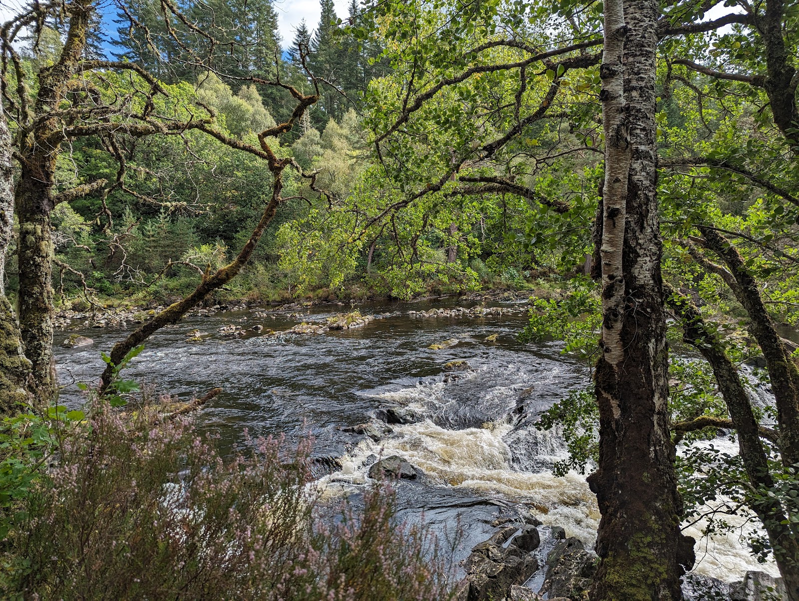 A walk to the Allt na Cailliche waterfall in Glengarry