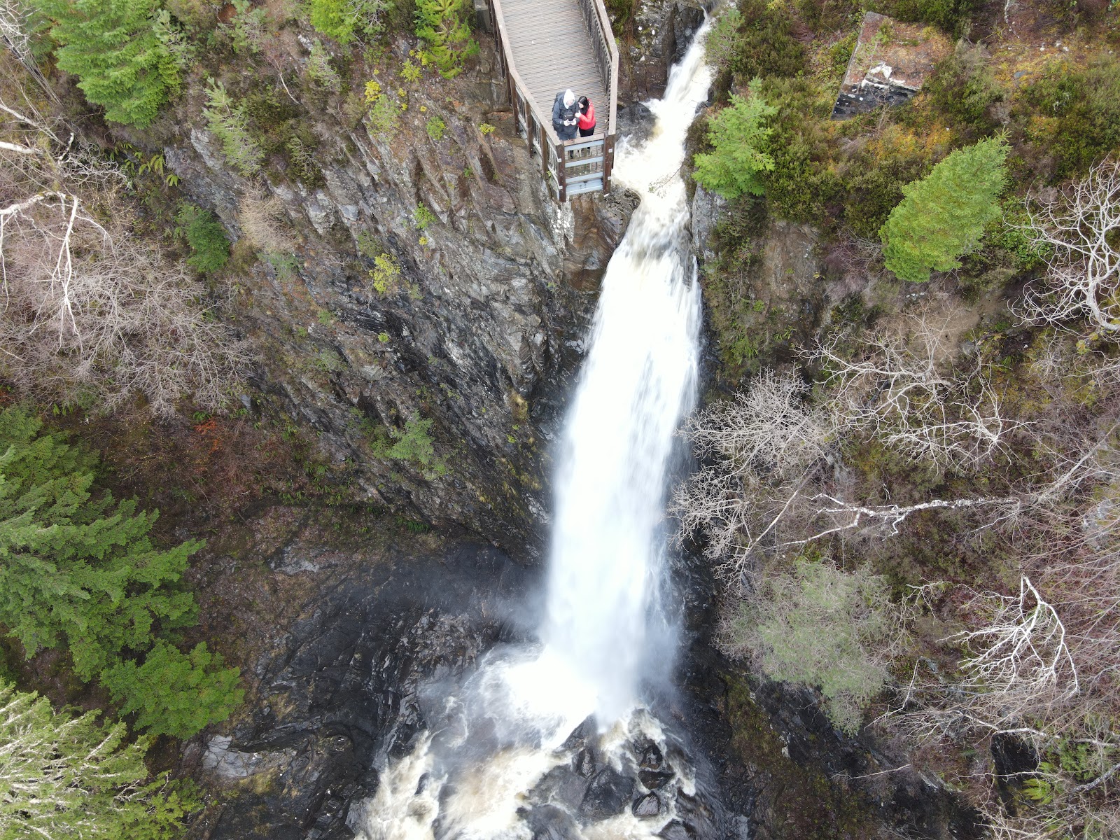 Plodda Falls