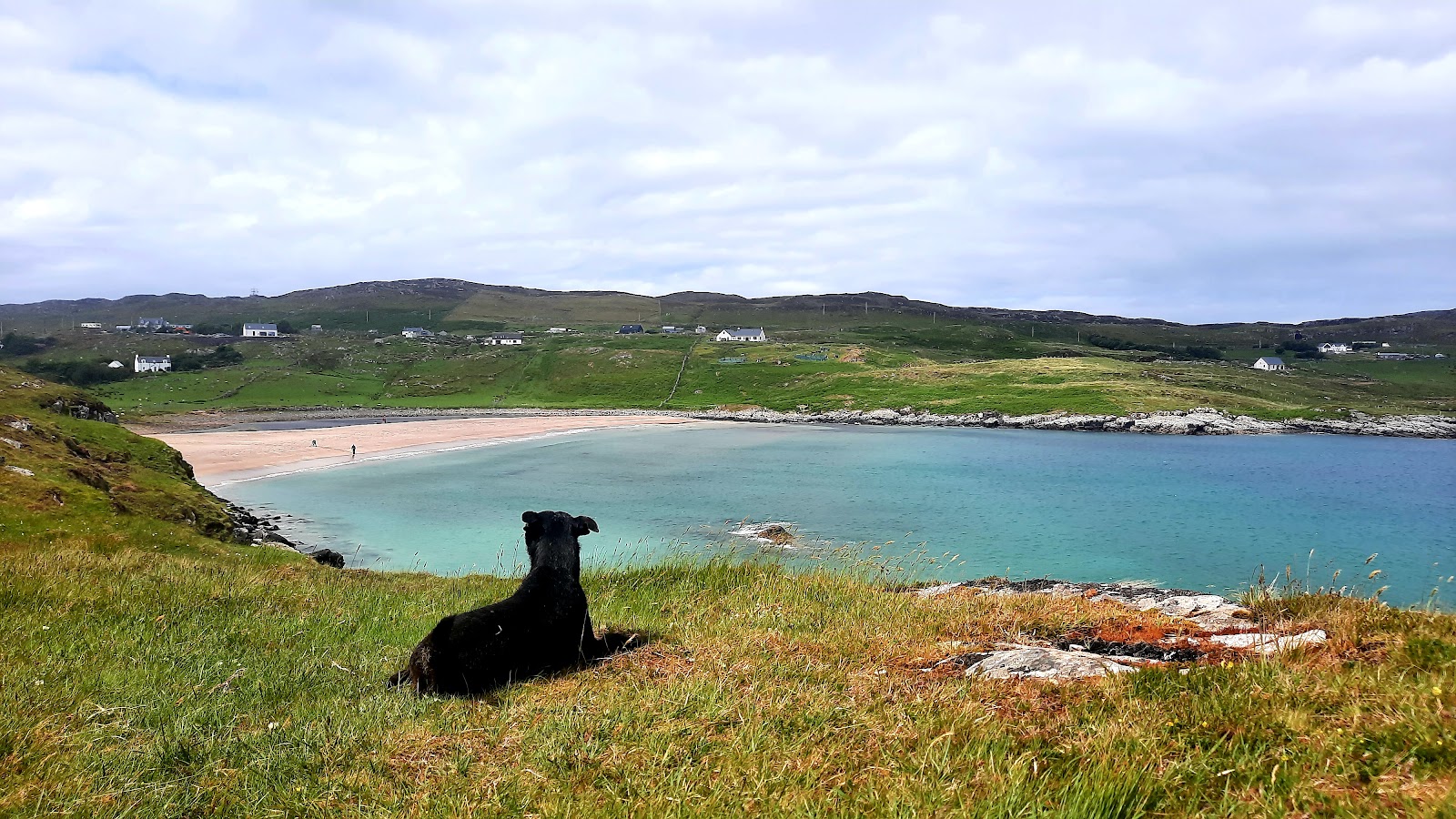 Clashnessie Bay, a sweep of pale sand and turquoise water below green crofting land, a black dog resting on the grass.
