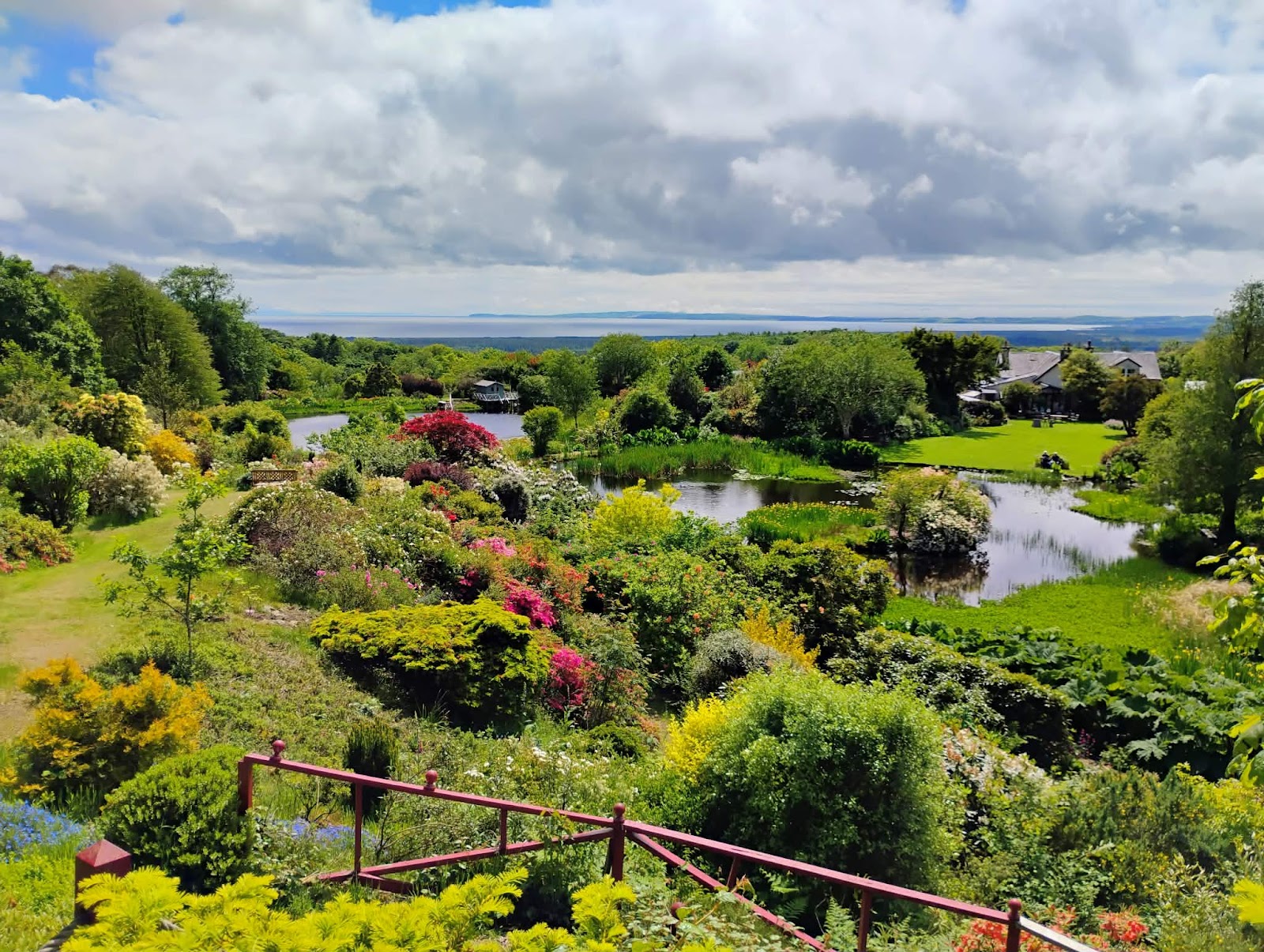 Glenwhan Botanic Garden from the top of the slope: flowering shrubs and rhododendrons round the lochans, with Luce Bay and the Mull of Galloway on the horizon.
