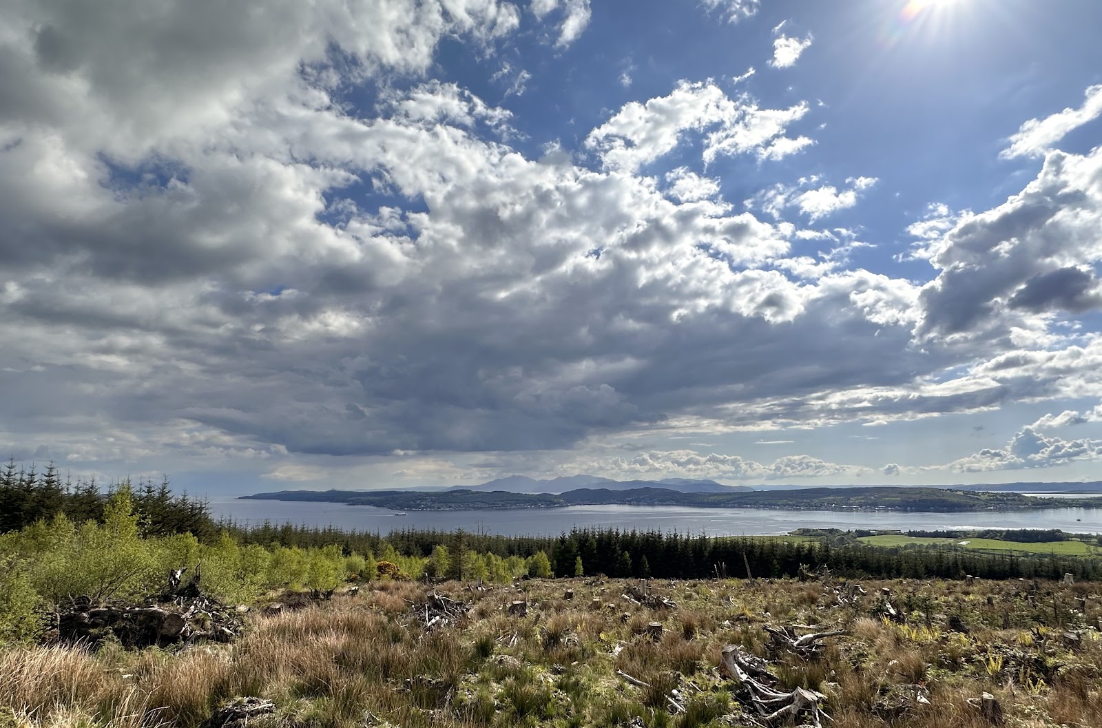 The view from the Ardyne hillside over young birch and spruce to the Firth of Clyde, the Isle of Bute across the water and the peaks of Arran on the skyline under a big sky of white cloud.