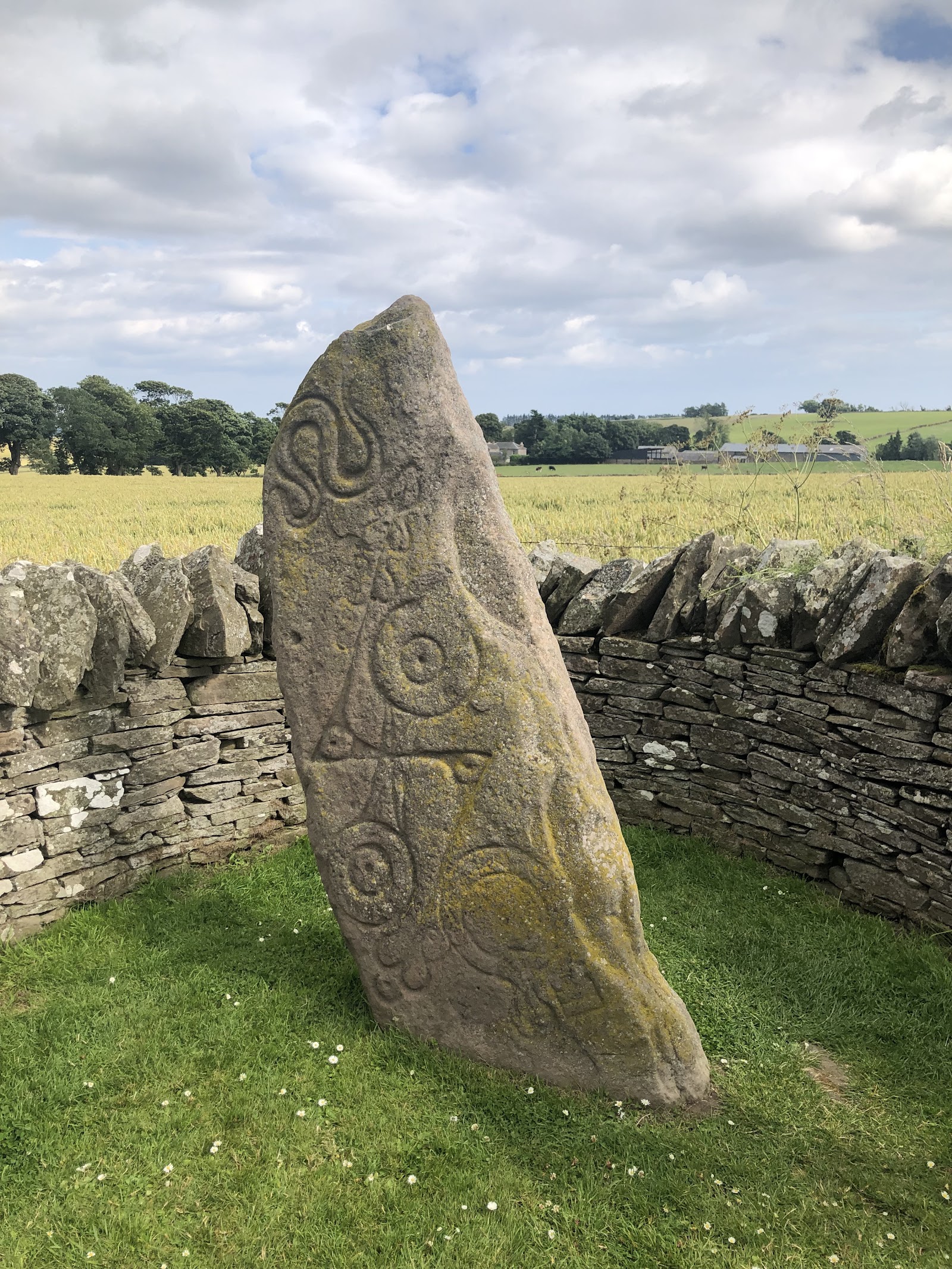 The Aberlemno serpent stone, a leaning slab carved with a serpent and symbols.