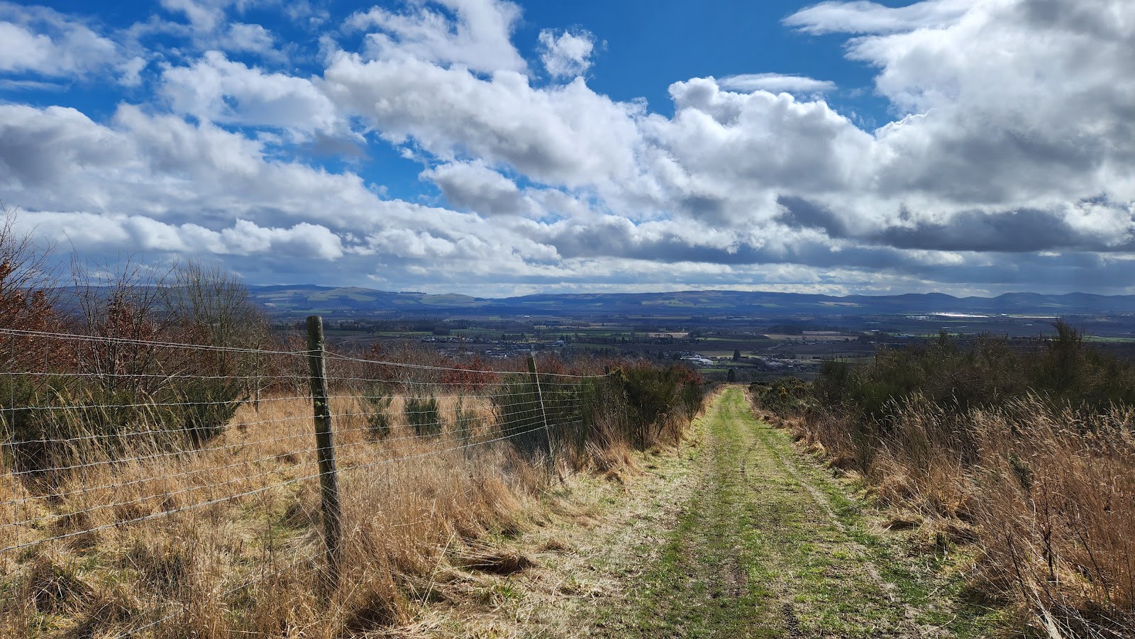 A walk up the Hill of Alyth