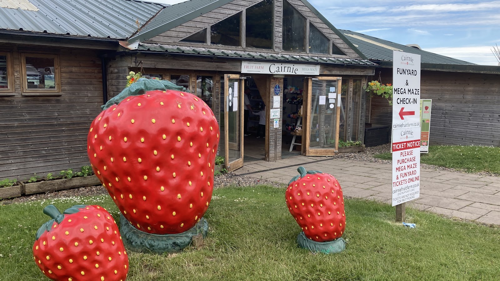 Giant model strawberries on the grass outside the farm shop and cafe at Cairnie Fruit Farm, with a sign pointing to the Funyard and Mega Maze.