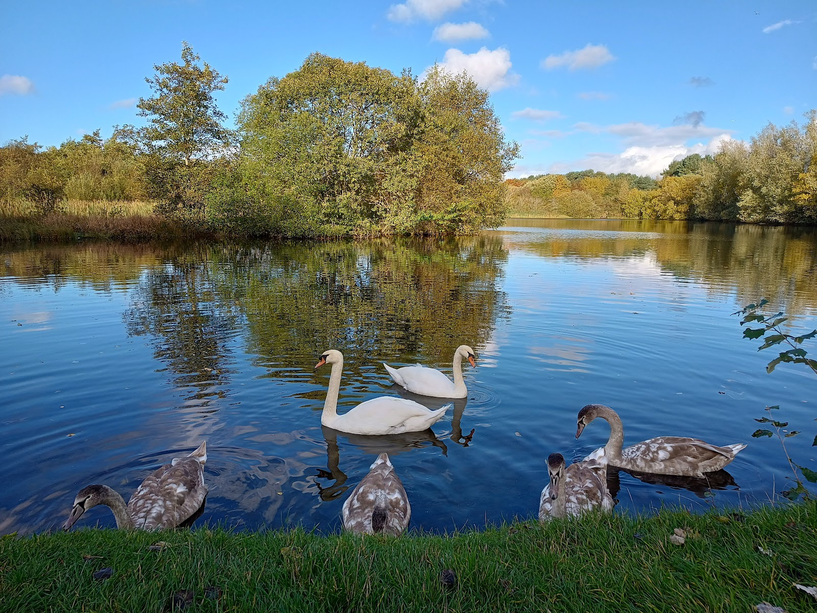 Birnie and Gaddon Lochs