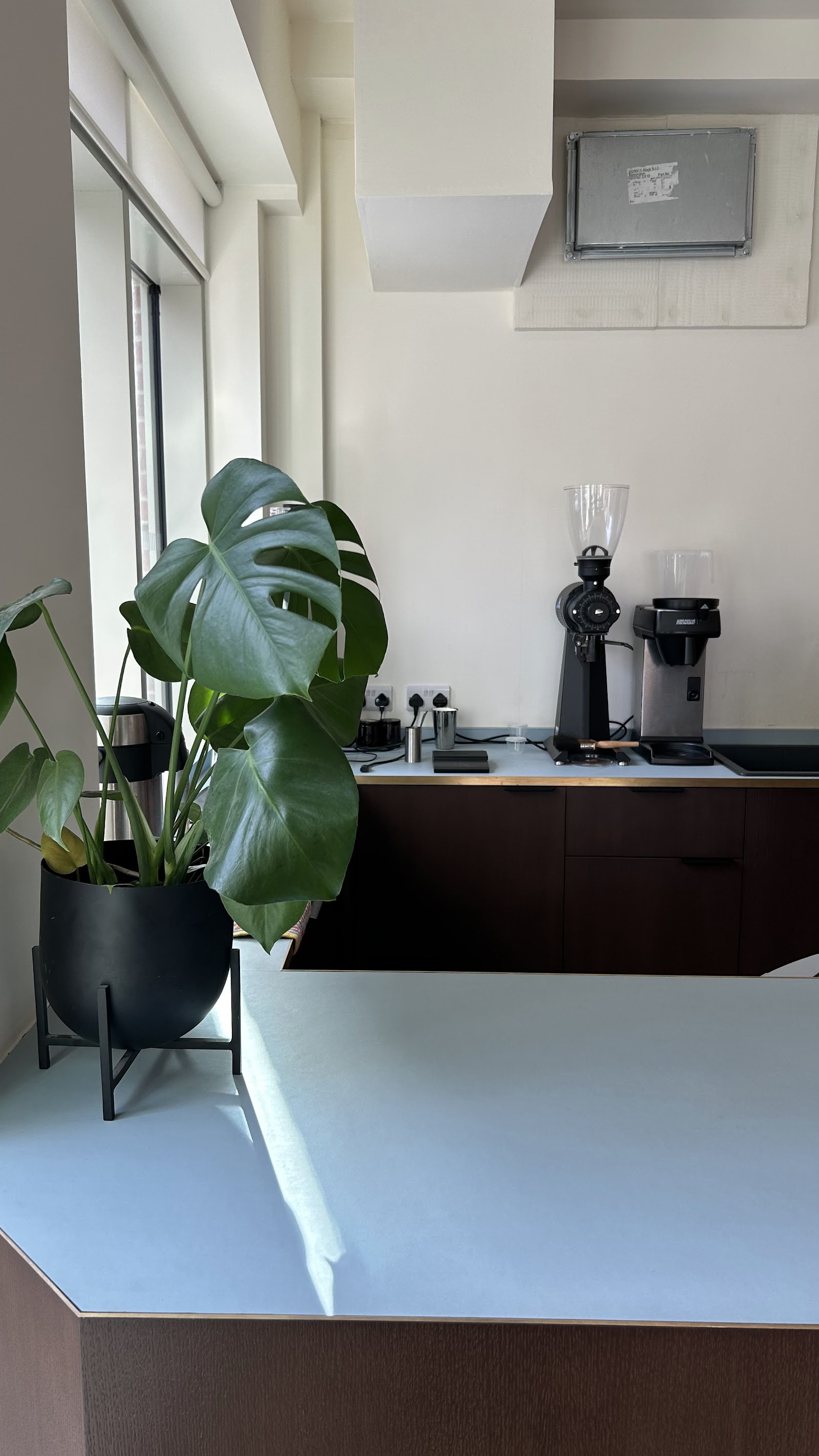 The coffee counter at Carter Coffee, with a grinder and a brewer on the back bench and a plant by the window.