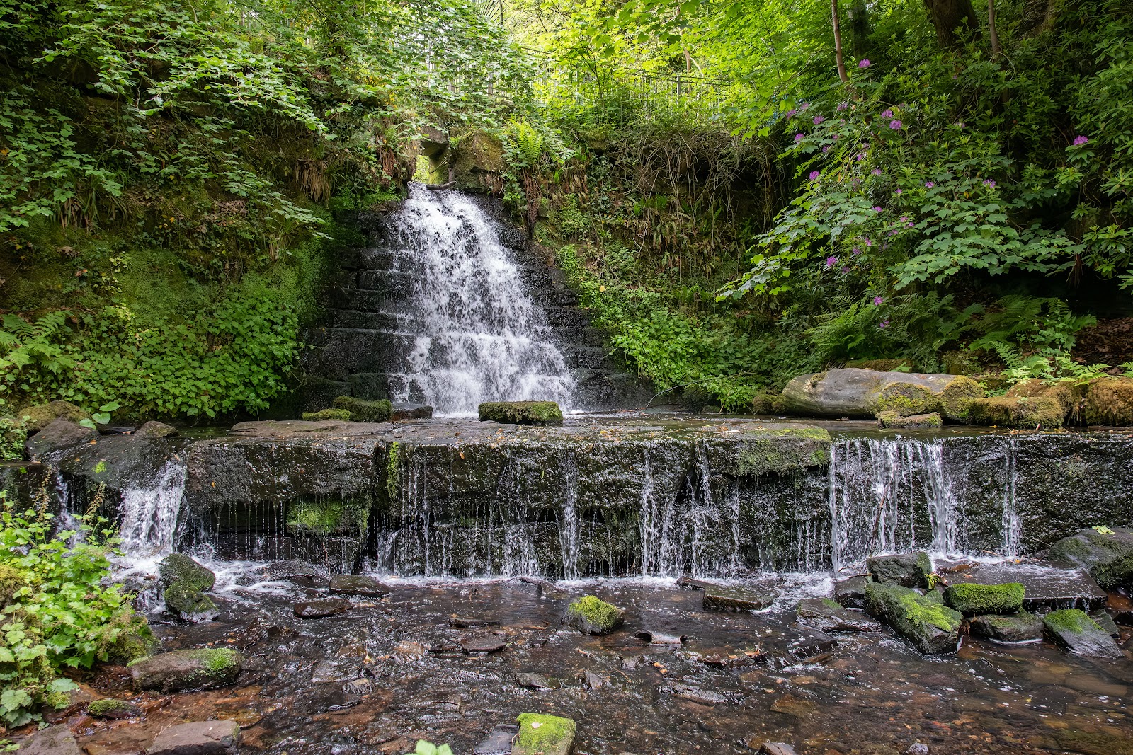 A waterfall spilling down a mossy rock face into the Auldhouse Burn in Rouken Glen, ferns and trees all round.