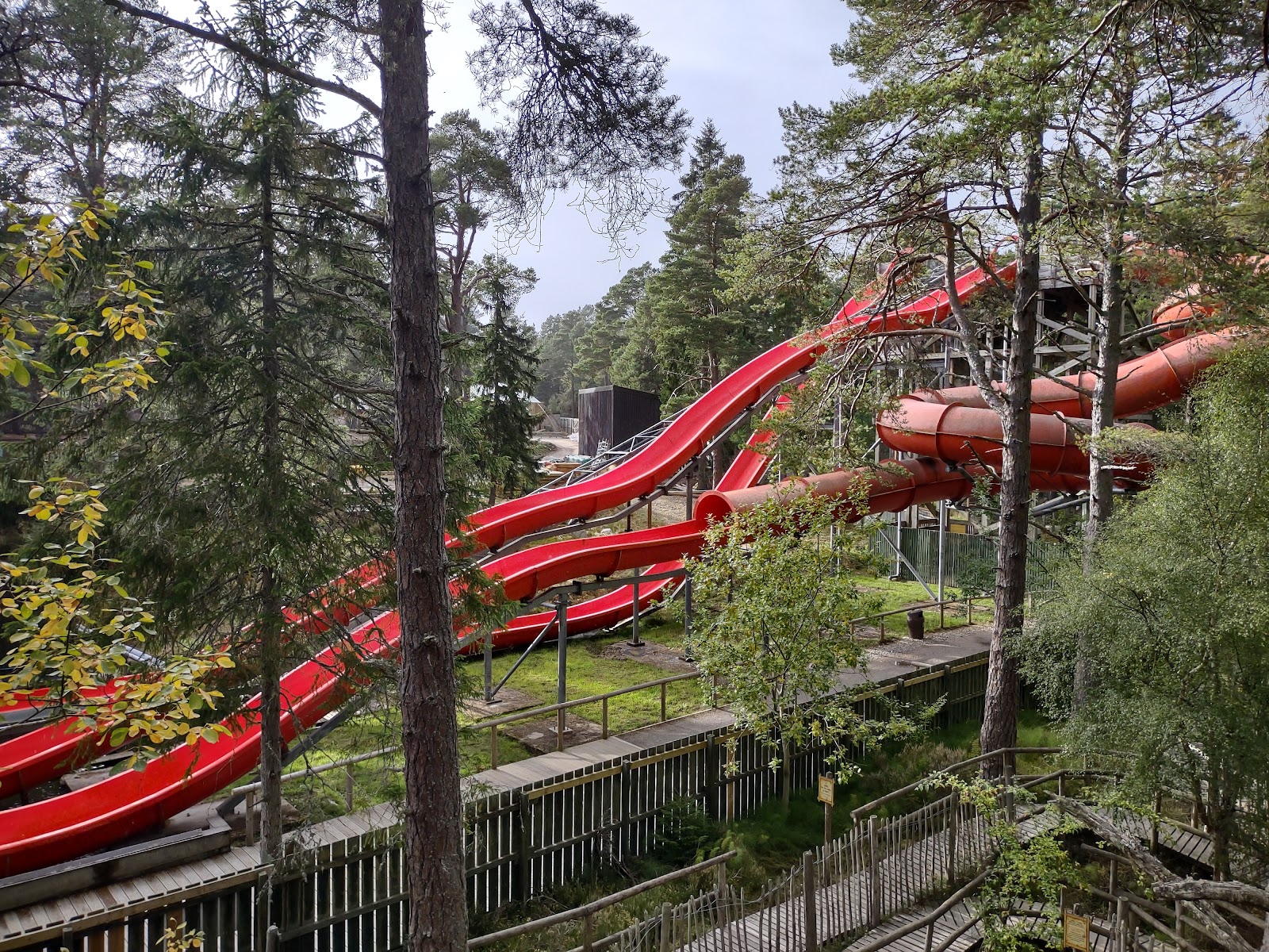 Red water coaster slides winding through the pines.