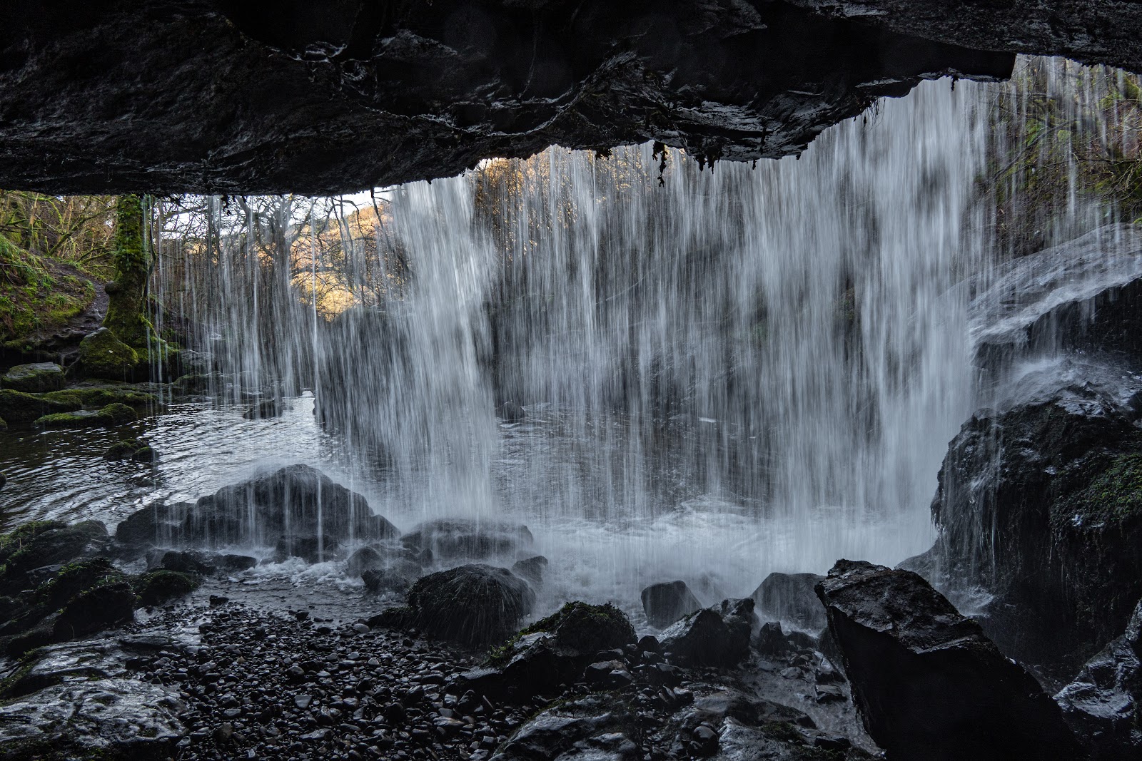 A curtain of water falling from a rock overhang in Campsie Glen, seen from the hollow behind it, with the wooded glen beyond.