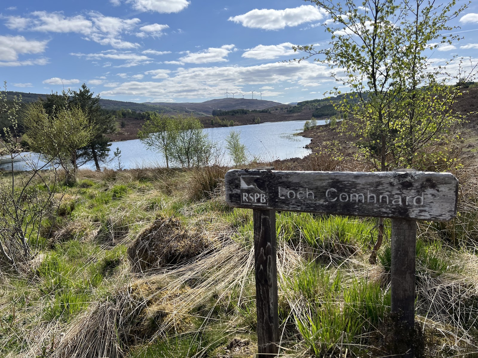 The RSPB's weathered wooden sign for Loch Comhnard at Corrimony, the loch beyond among young birches and moorland under a blue sky, with wind turbines on a far hill.