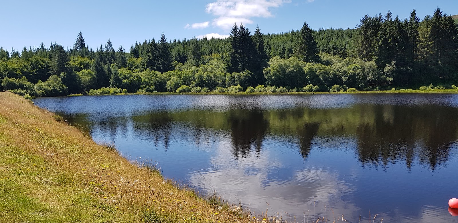 Bishop's Glen Reservoir above Dunoon on a bright summer day, still blue water below a bank of conifers and birch, a grassy bank along the near shore.