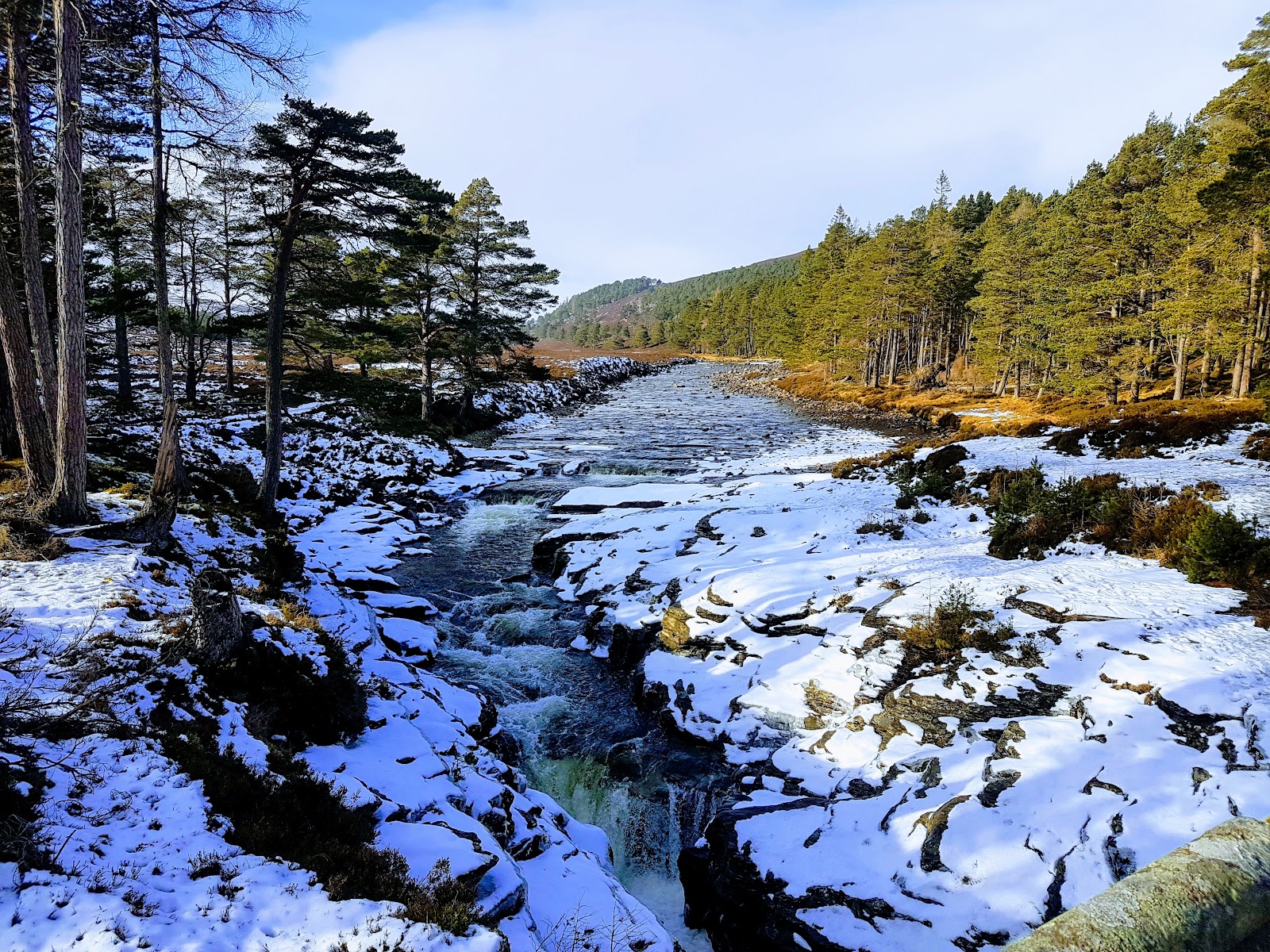 The Linn of Dee in winter, snow on the rocks of the gorge and the pines beyond.