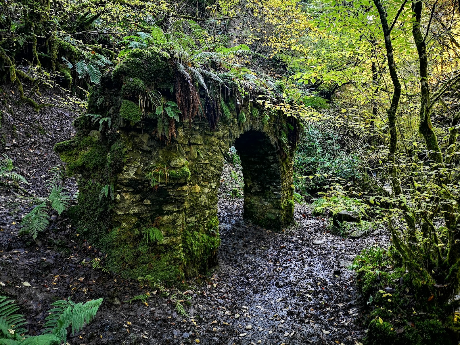 A stone grotto arch thick with moss and hung with ferns beside a muddy woodland path in Reelig Glen.