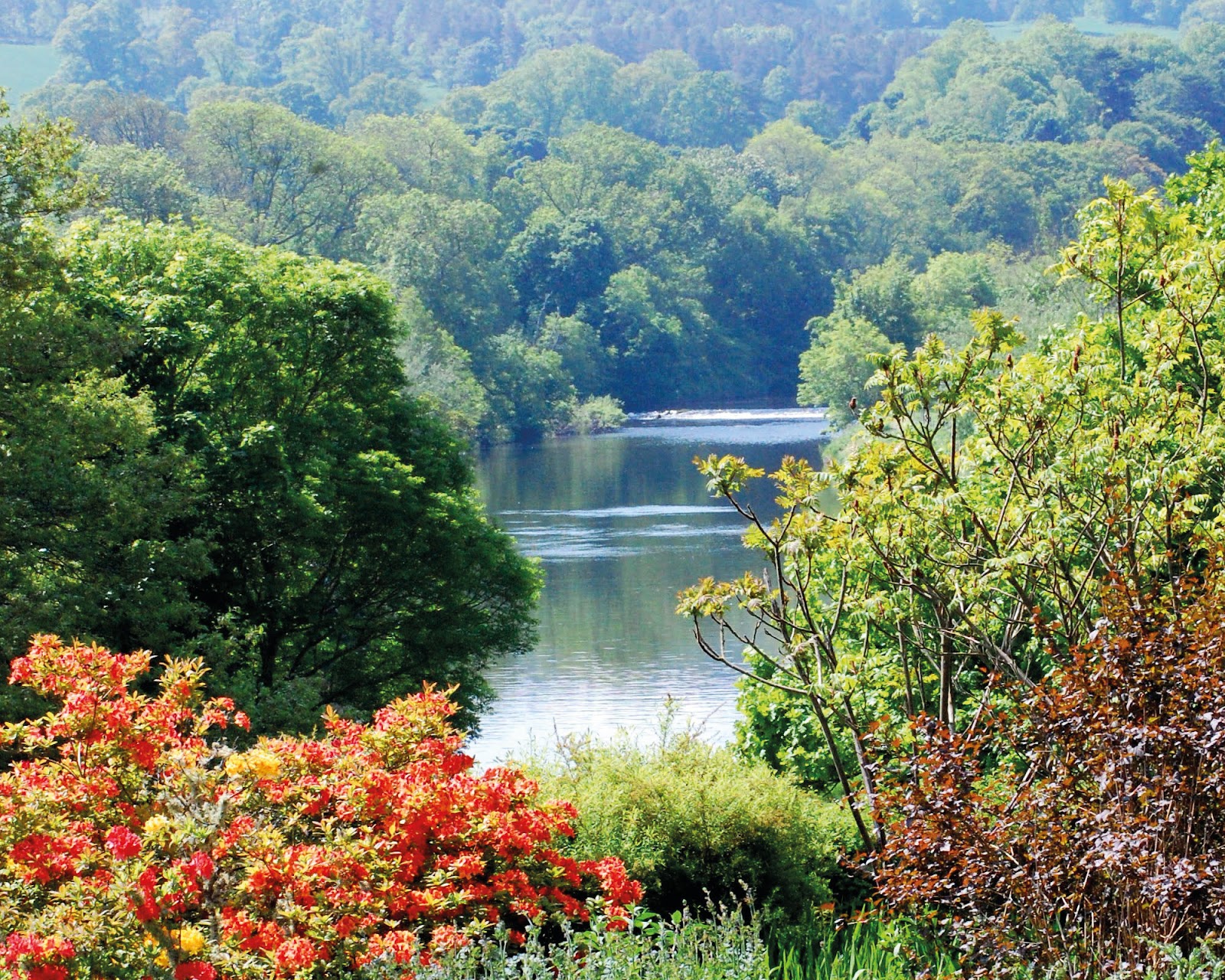 The River Teviot seen from Monteviot Gardens, framed by red and orange azaleas and green trees in early summer.