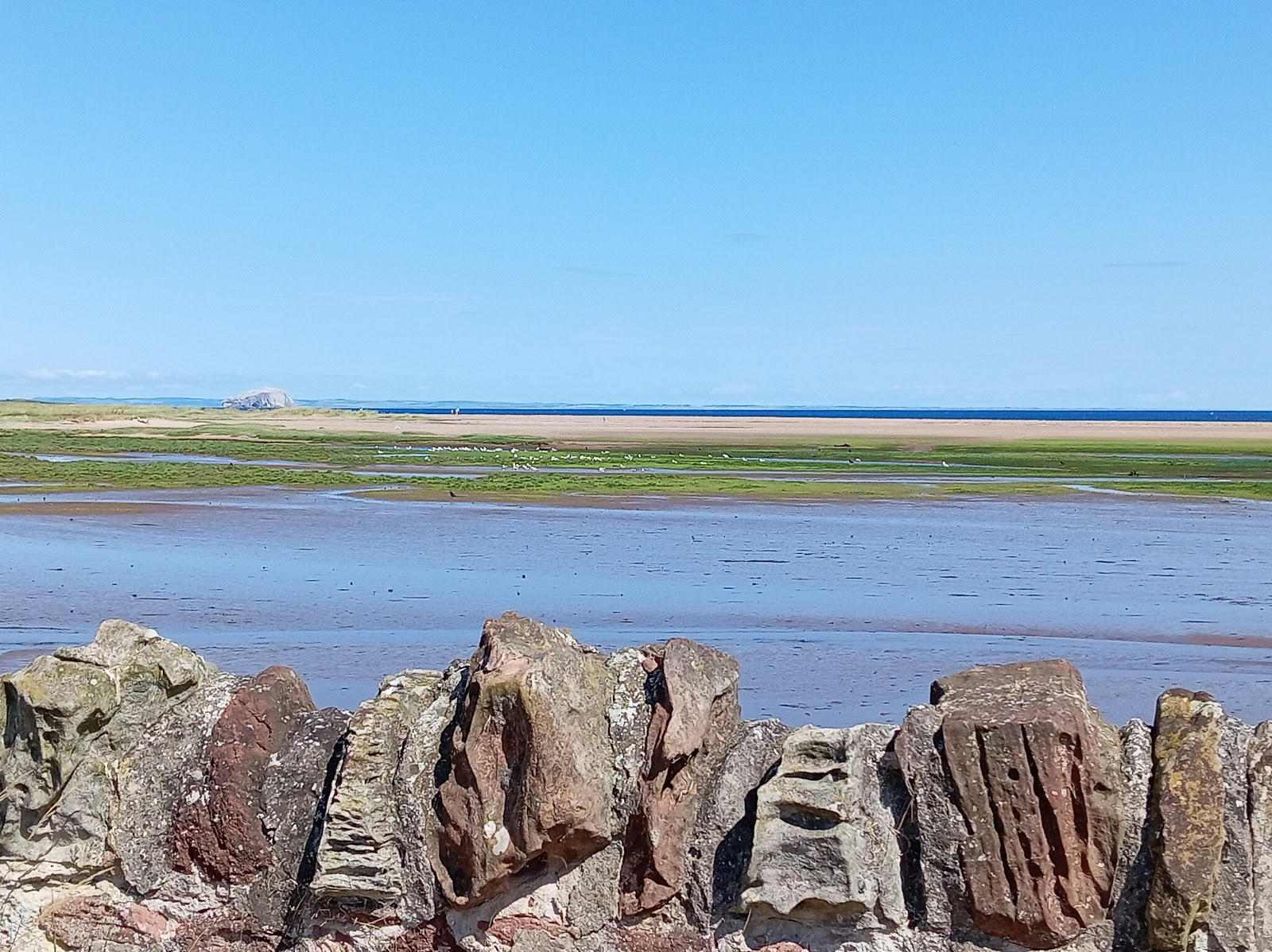 Belhaven Bay at low tide, wet sands and green salt marsh under a blue sky, red rocks in front.