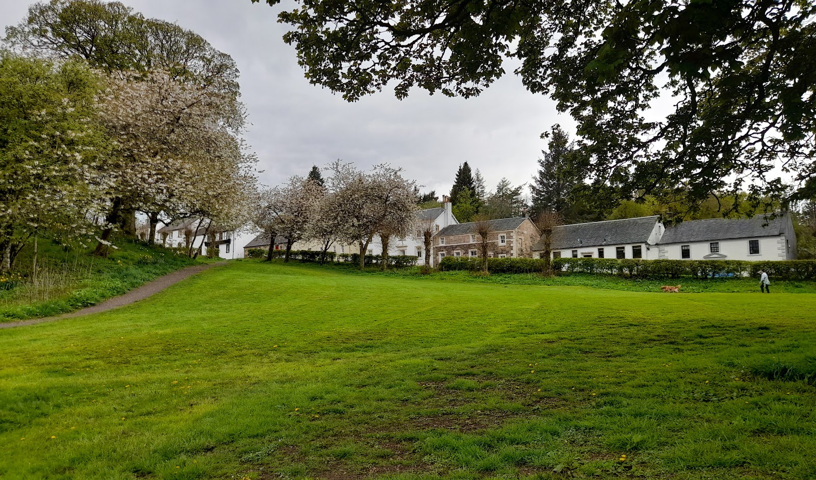 The Orry at Eaglesham, a long sloping green under blossoming trees with a row of white cottages along its far side.
